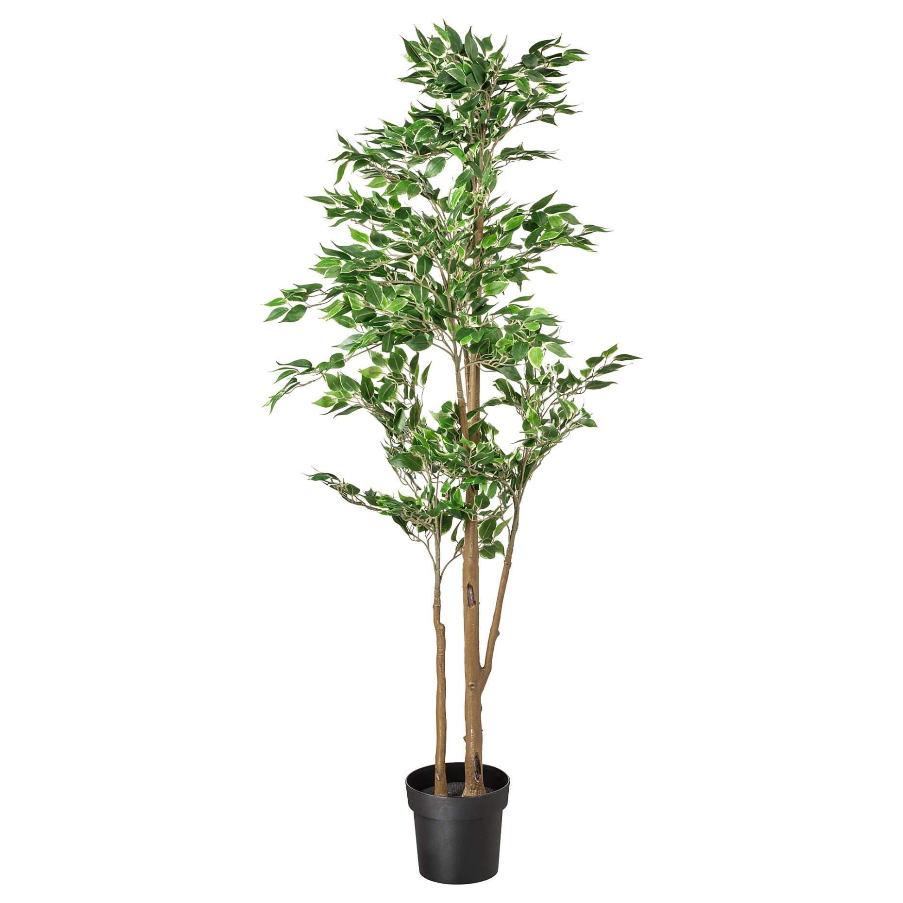 FEJKA, artificial potted plant in/outdoor/Weeping fig, 21 cm, 306.152.76