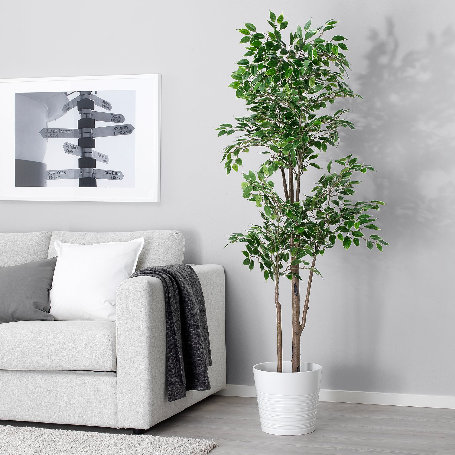 FEJKA, artificial potted plant in/outdoor/Weeping fig, 21 cm, 306.152.76