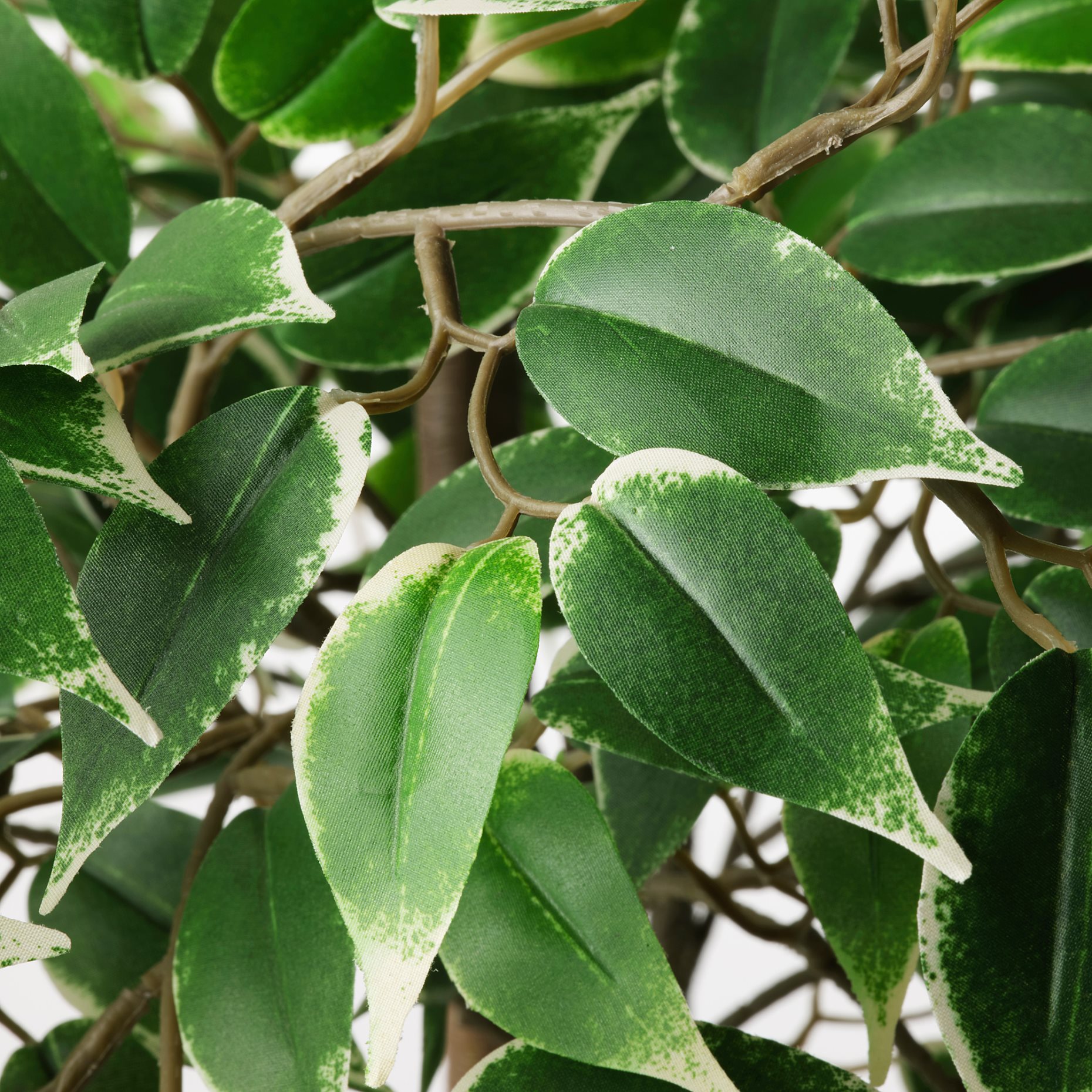 FEJKA, artificial potted plant in/outdoor/Weeping fig, 21 cm, 306.152.76