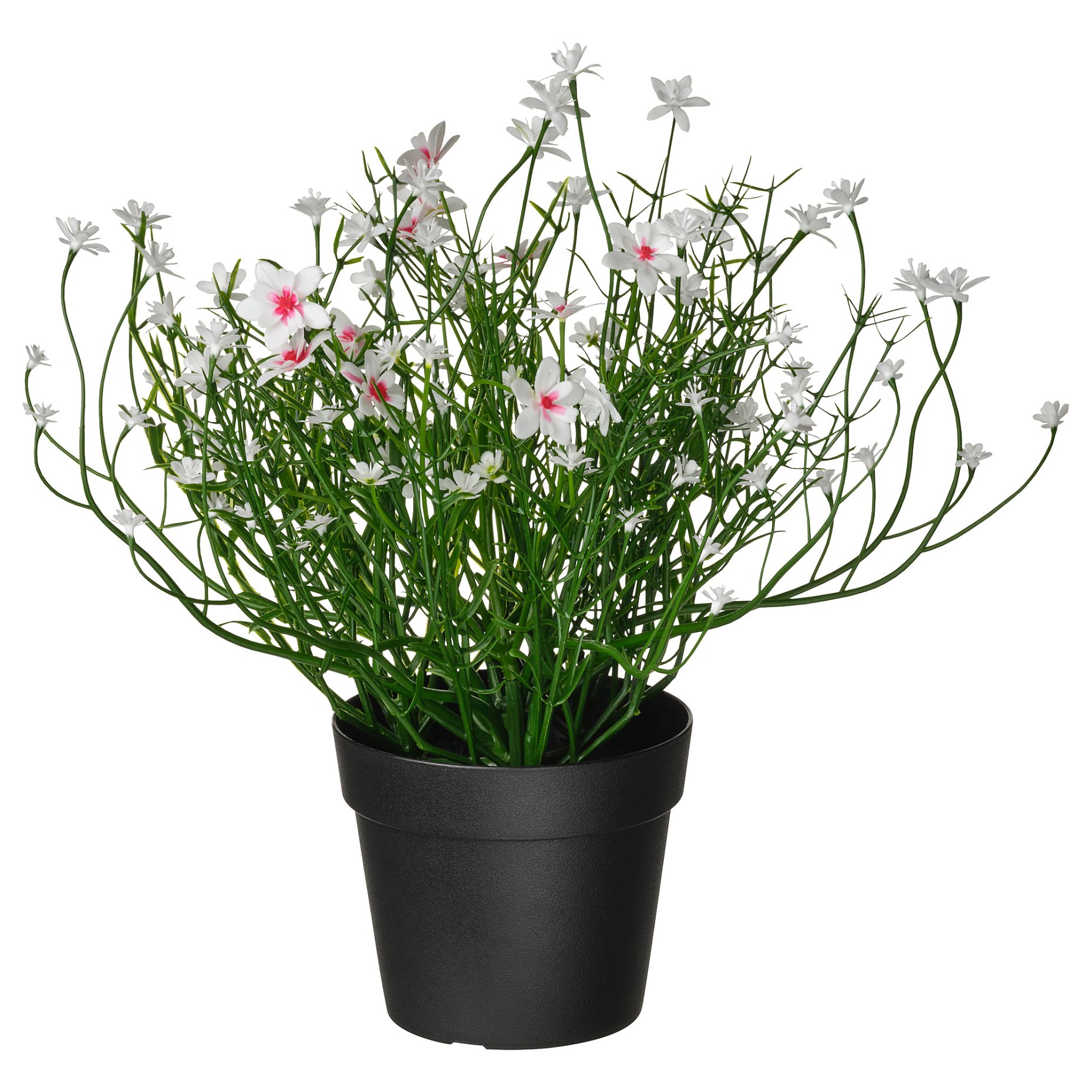 FEJKA, artificial potted plant in/outdoor/Baby’s breath, 9 cm, 306.176.90