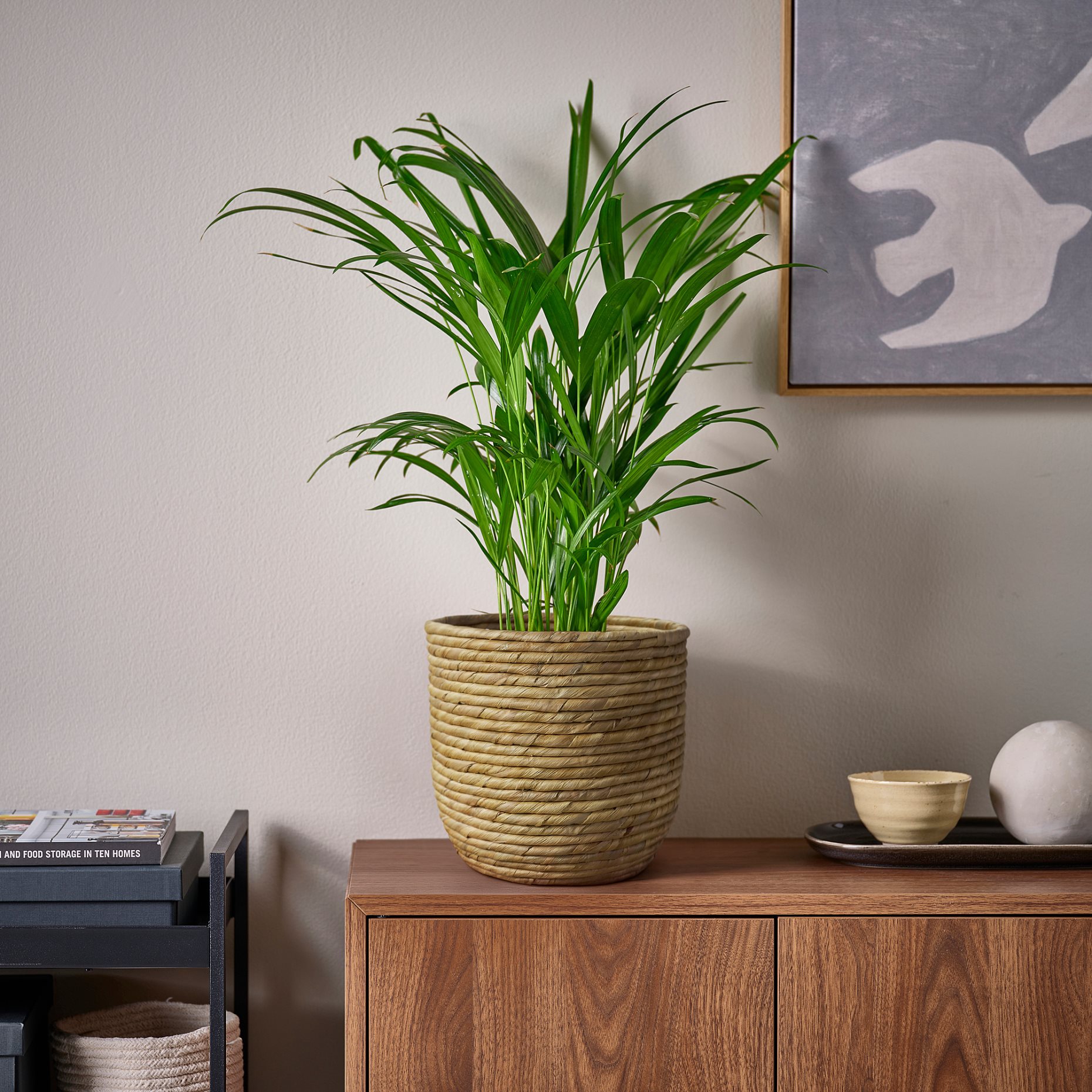 SANDÖDLA, plant pot, 19 cm, 306.330.63