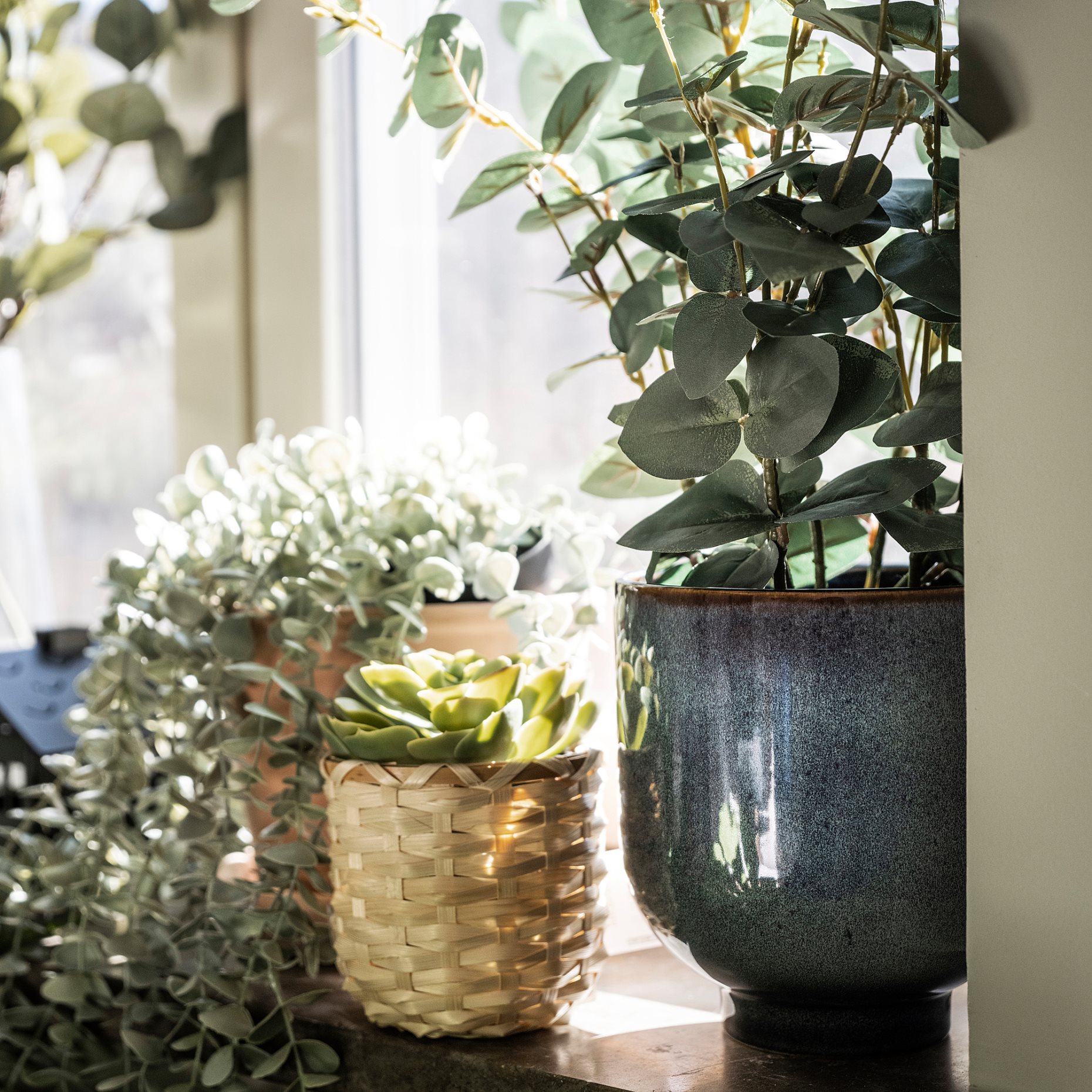 FEJKA, artificial potted plant, in/outdoor eucalyptus, 404.523.68