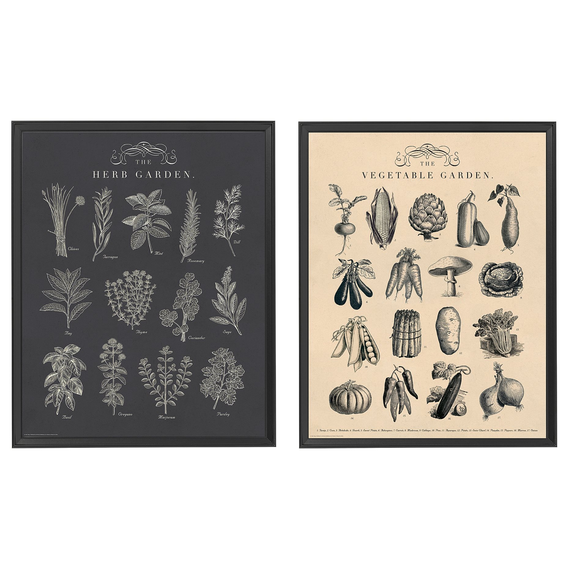 KNOPPÄNG, κορνίζα με πόστερ, 2 τεμ. Κήπος, 404.657.71