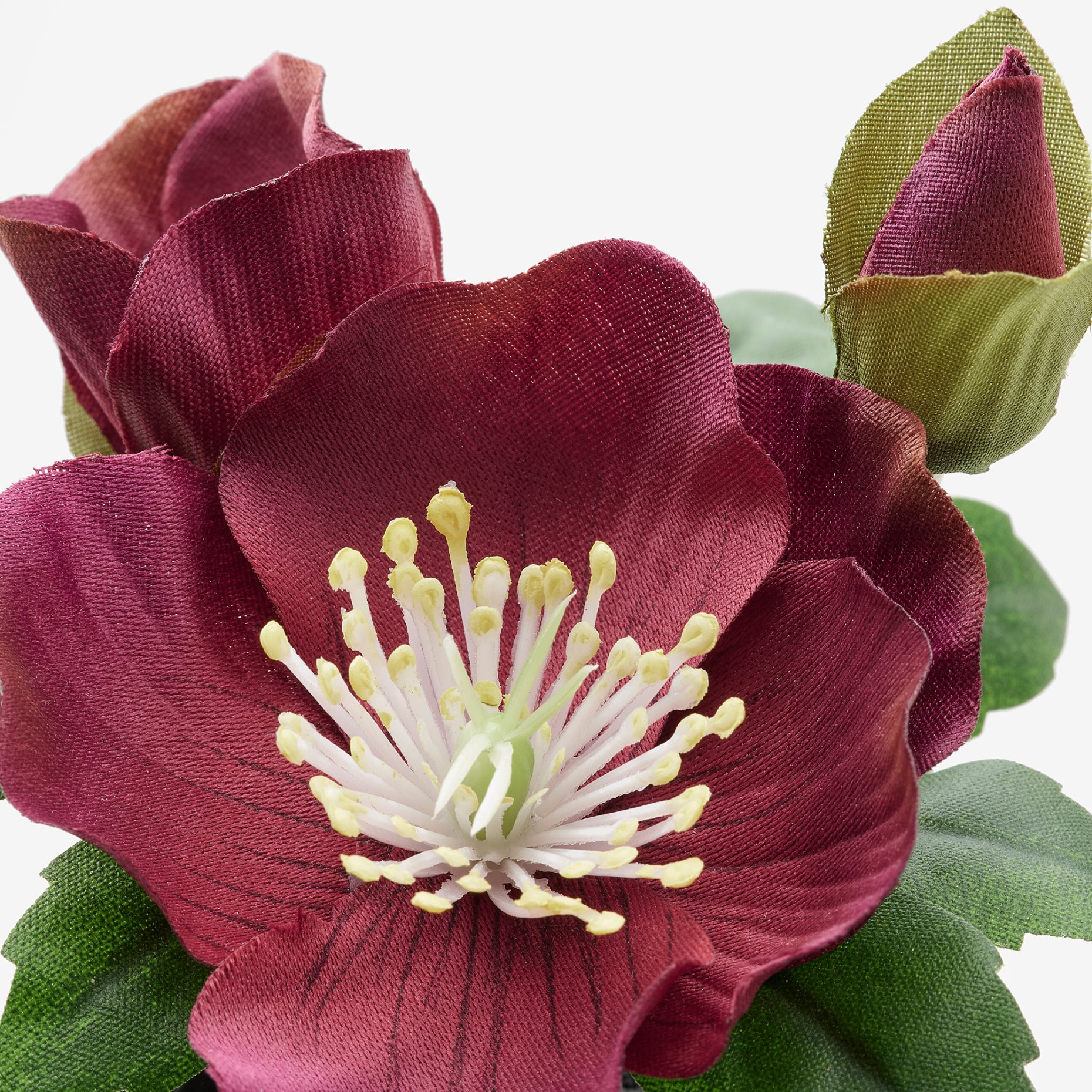 FEJKA, τεχνητό φυτό με κασπό/εσωτερικού/εξωτερικού χώρου , σετ 3 τεμ. 6 cm, 404.966.40