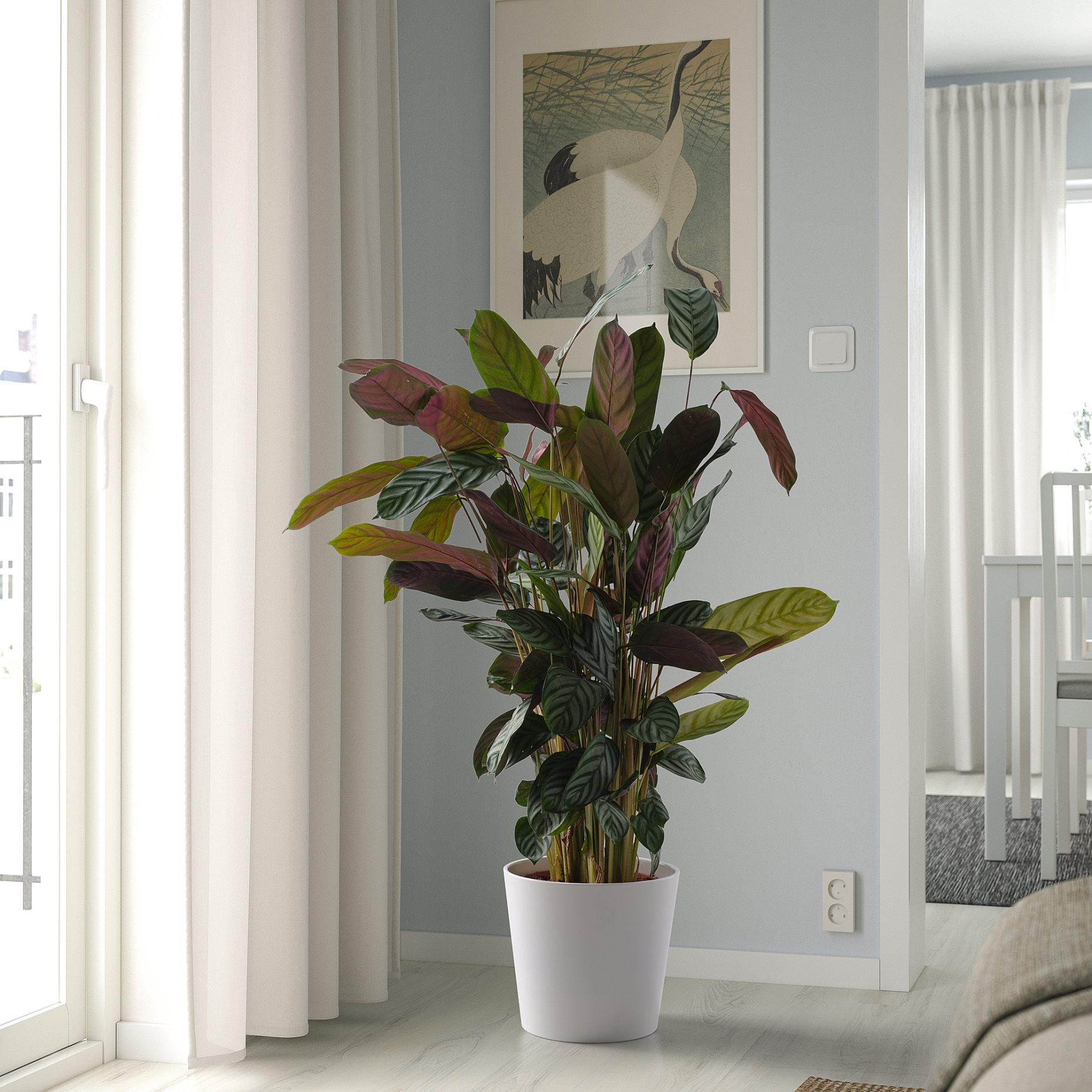 SOJABÖNA, plant pot, 24 cm, 405.335.86