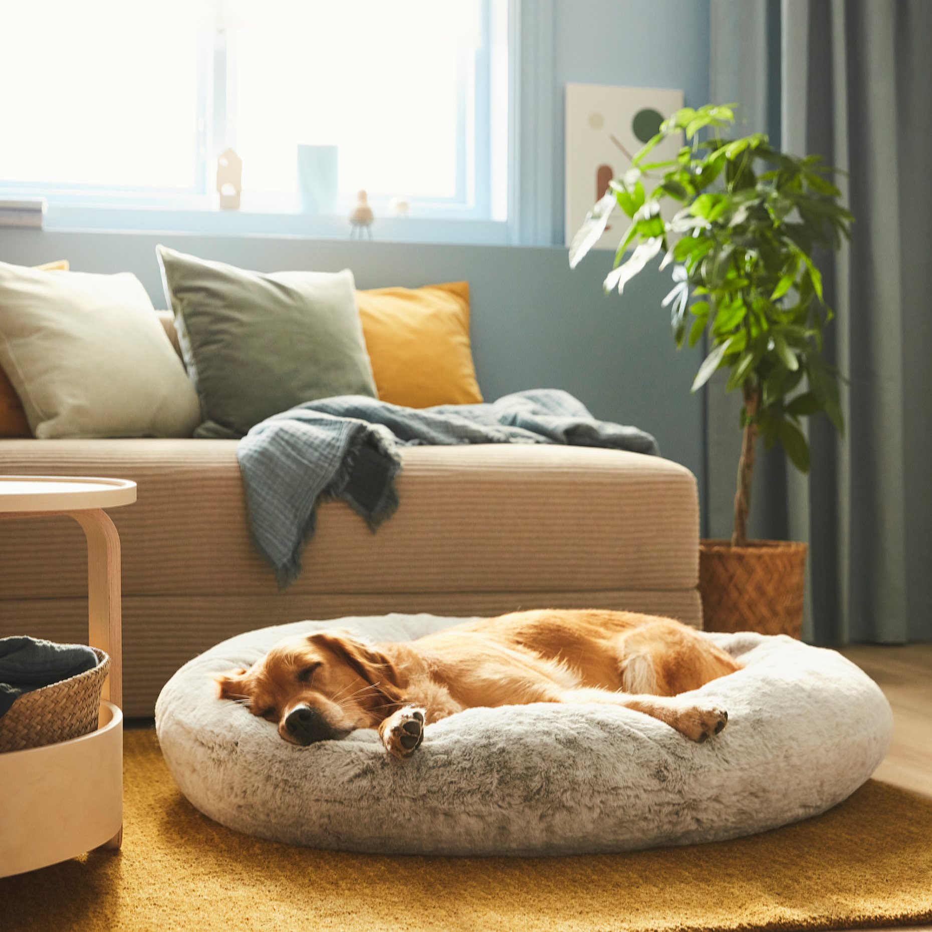 UTSADD, pet bed/L,  90 cm, 405.705.88