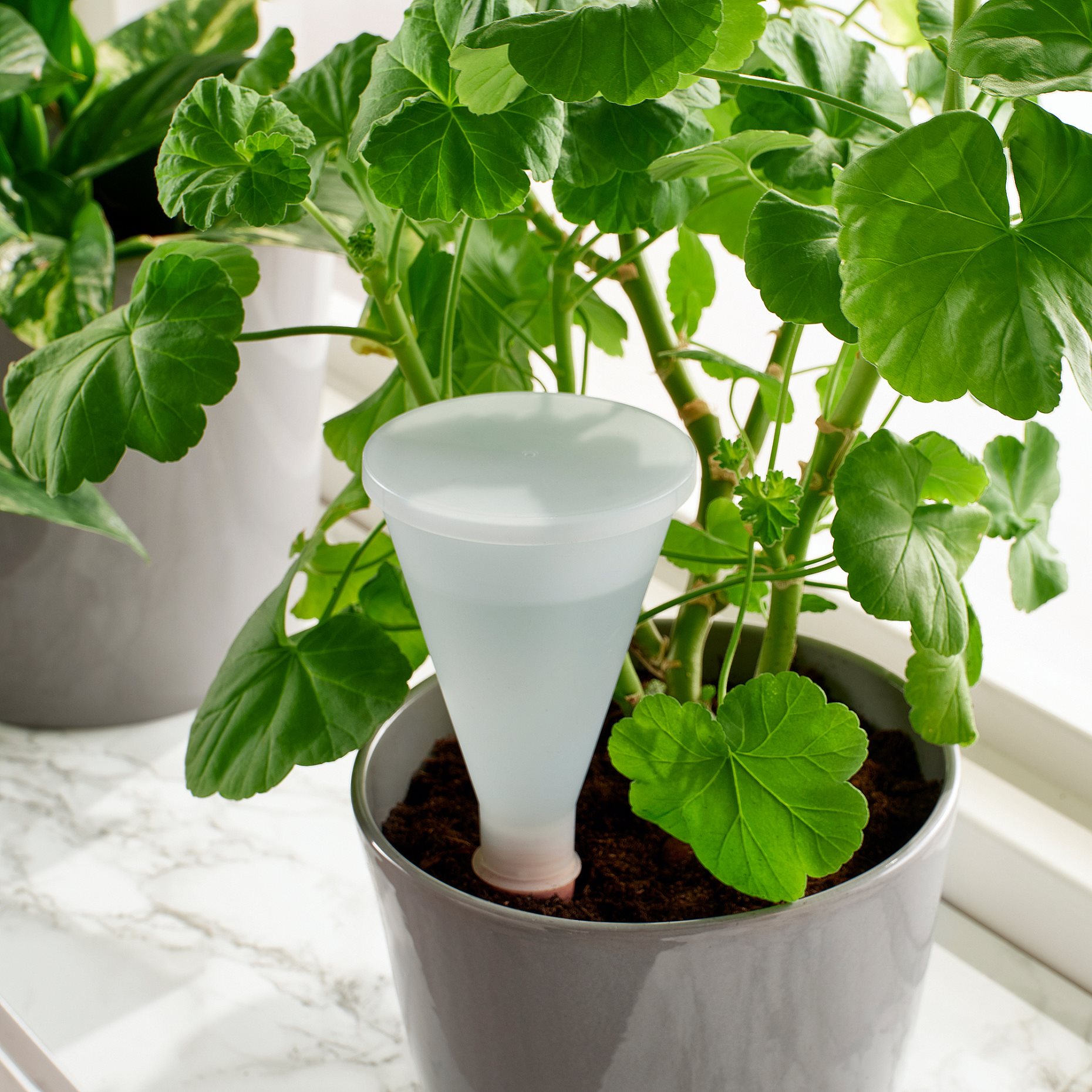 SVÄMSKOG, self-watering insert, 25 cl, 405.708.71