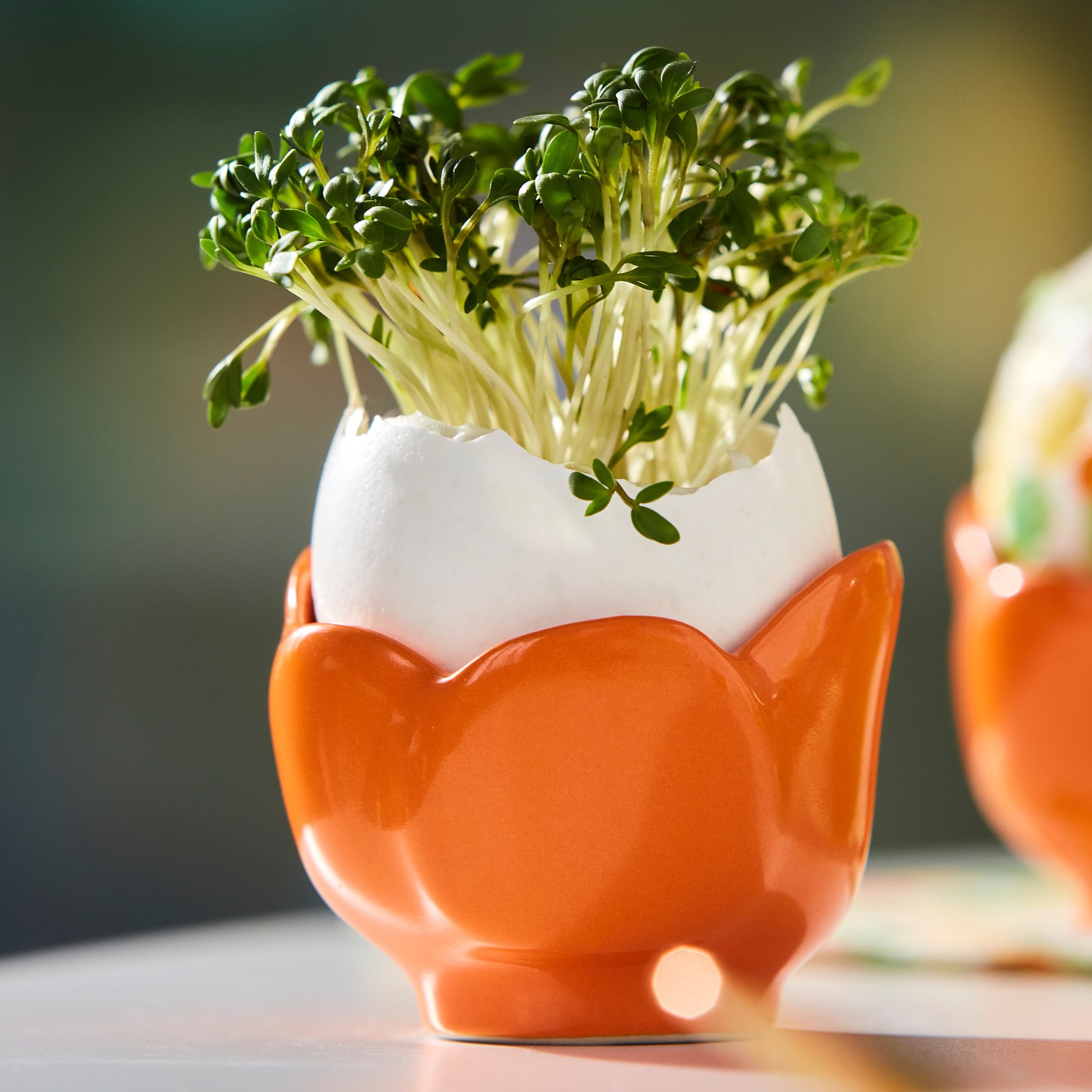 TJÄRLEK, bowl/egg cup, 5 cm, 405.870.89