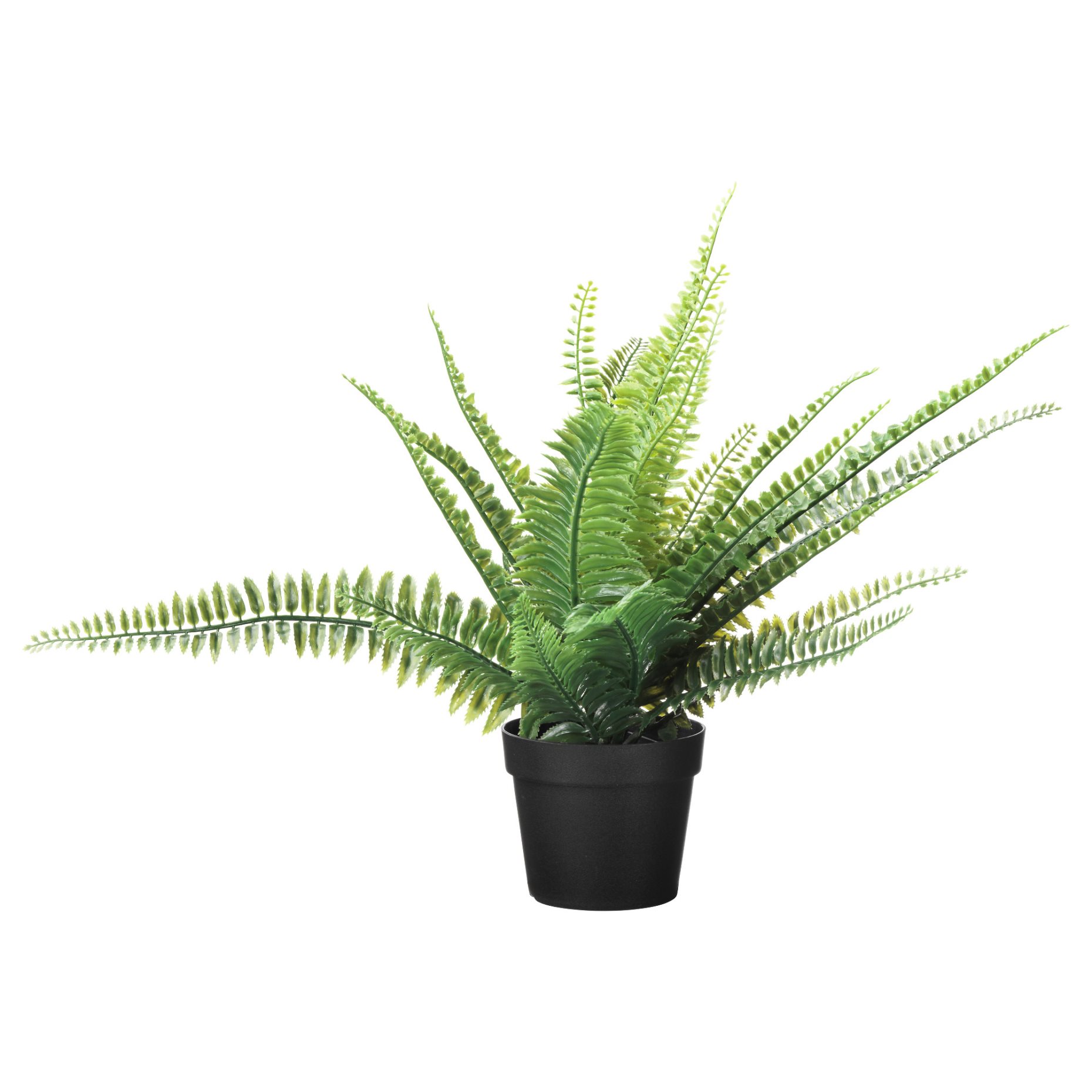 FEJKA, artificial potted plant in/outdoor/fern, 9 cm, 406.152.52