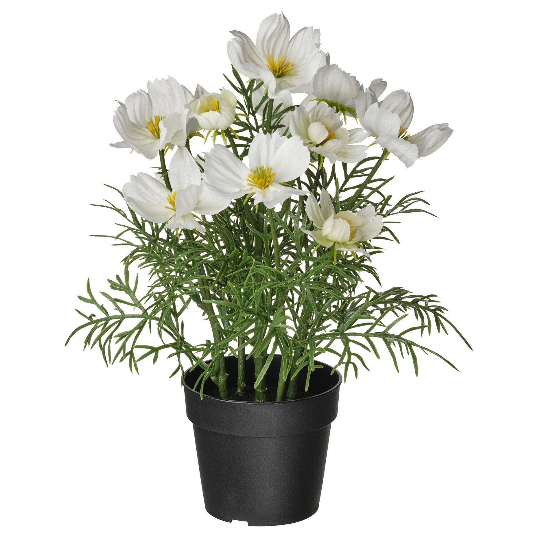 FEJKA, artificial potted plant in/outdoor/cosmos, 9 cm, 406.177.84