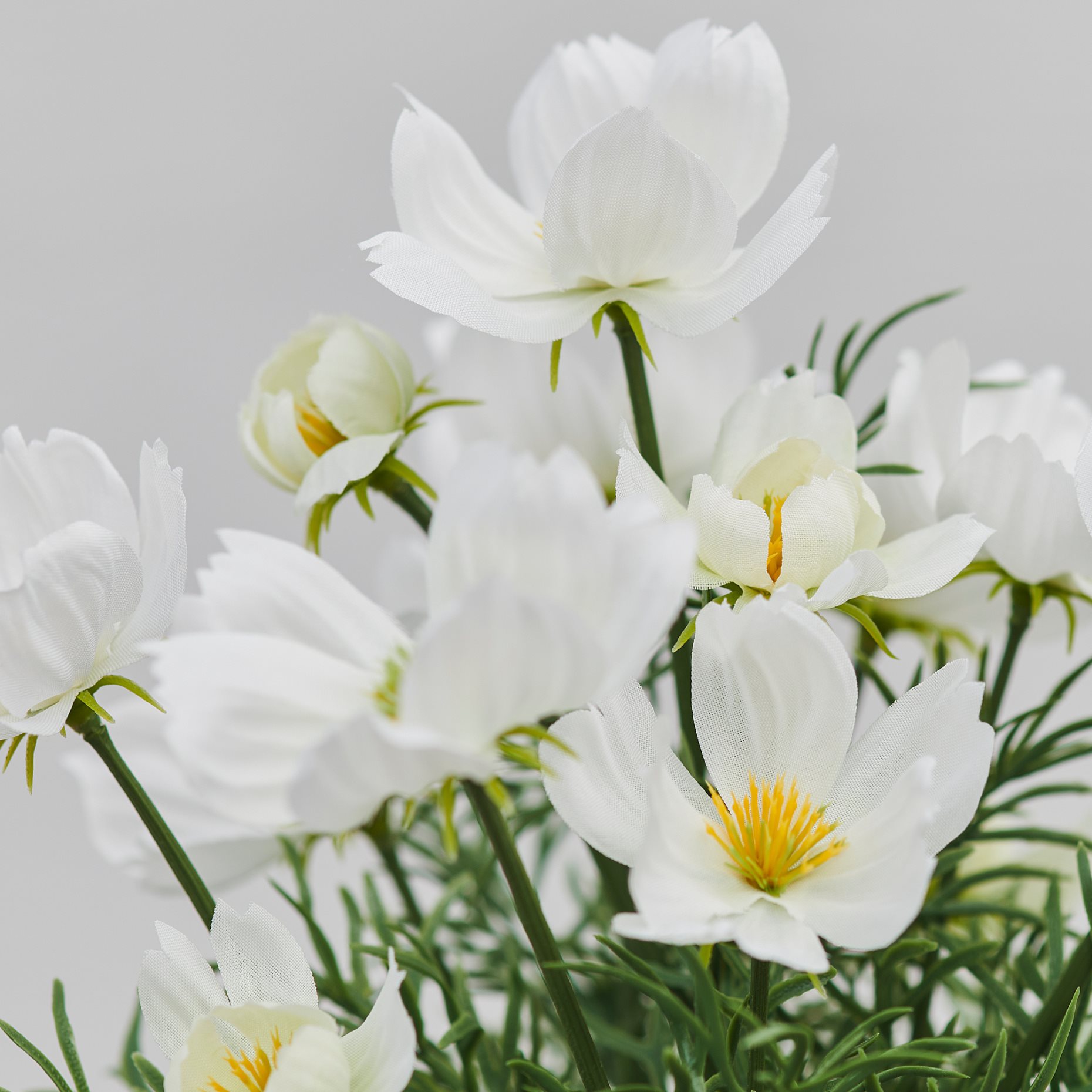 FEJKA, artificial potted plant in/outdoor/cosmos, 9 cm, 406.177.84