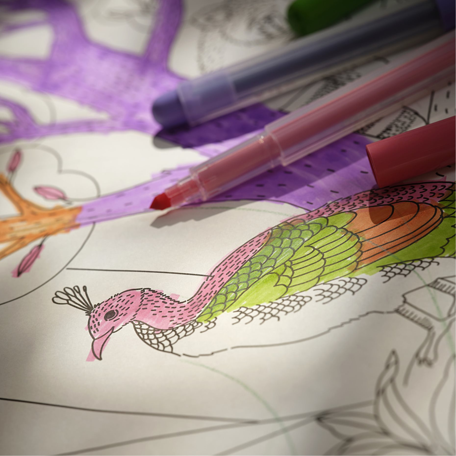 ALPTALL, colouring paper roll/The Himalayas, 8 m, 406.250.29