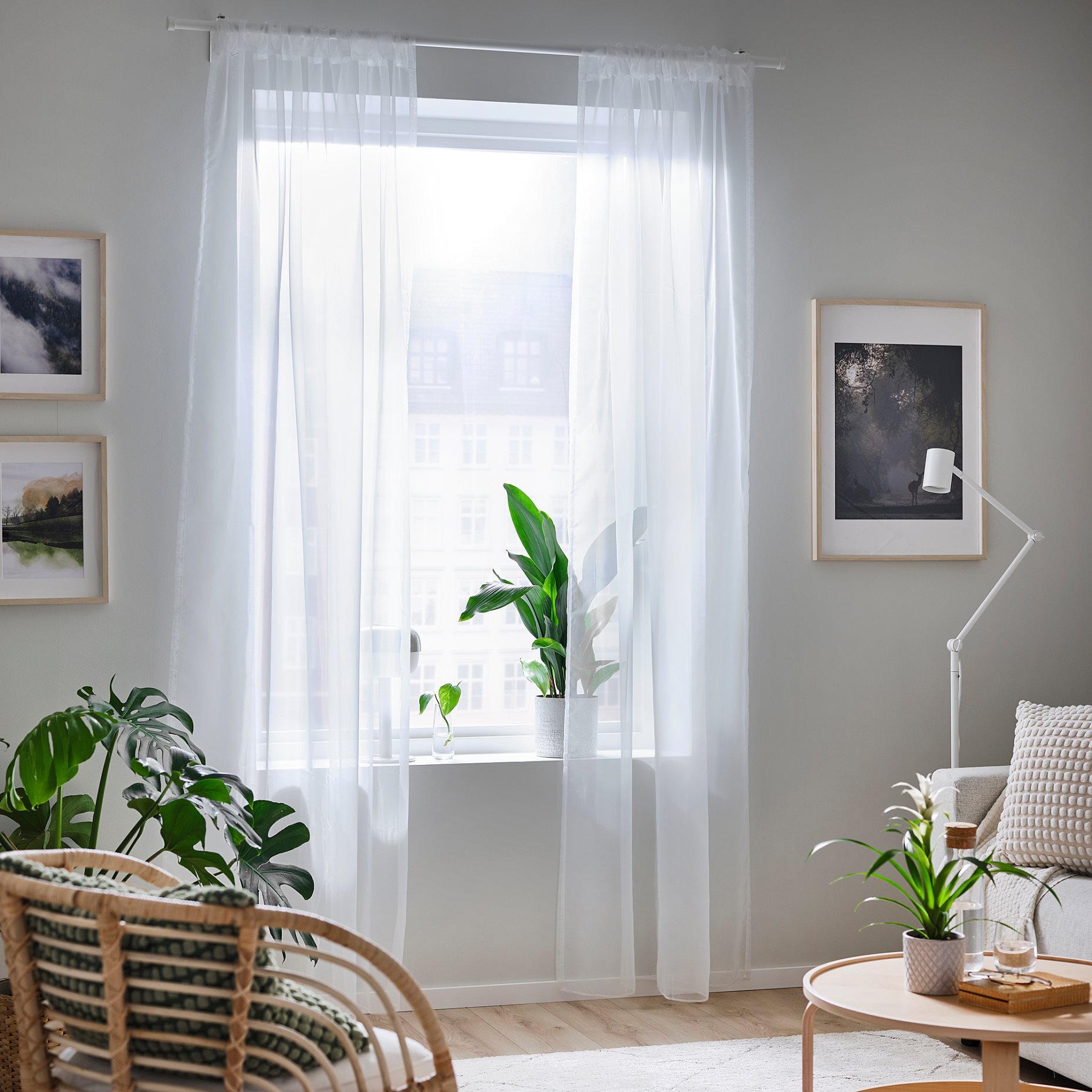 TERESIA, sheer curtains, 1 pair, 502.323.33