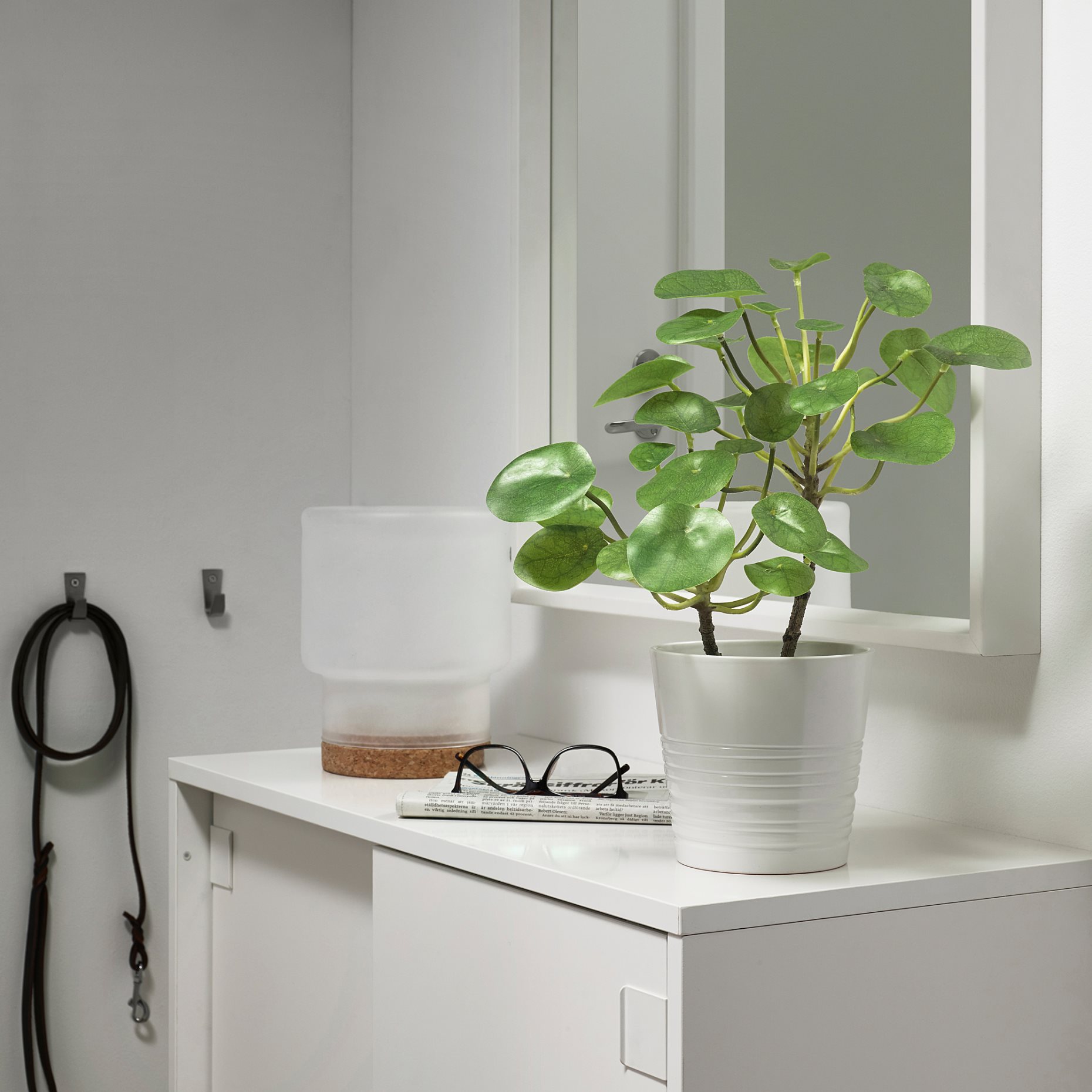 FEJKA, artificial potted plant in/outdoor/Pilea, 12 cm, 503.953.15