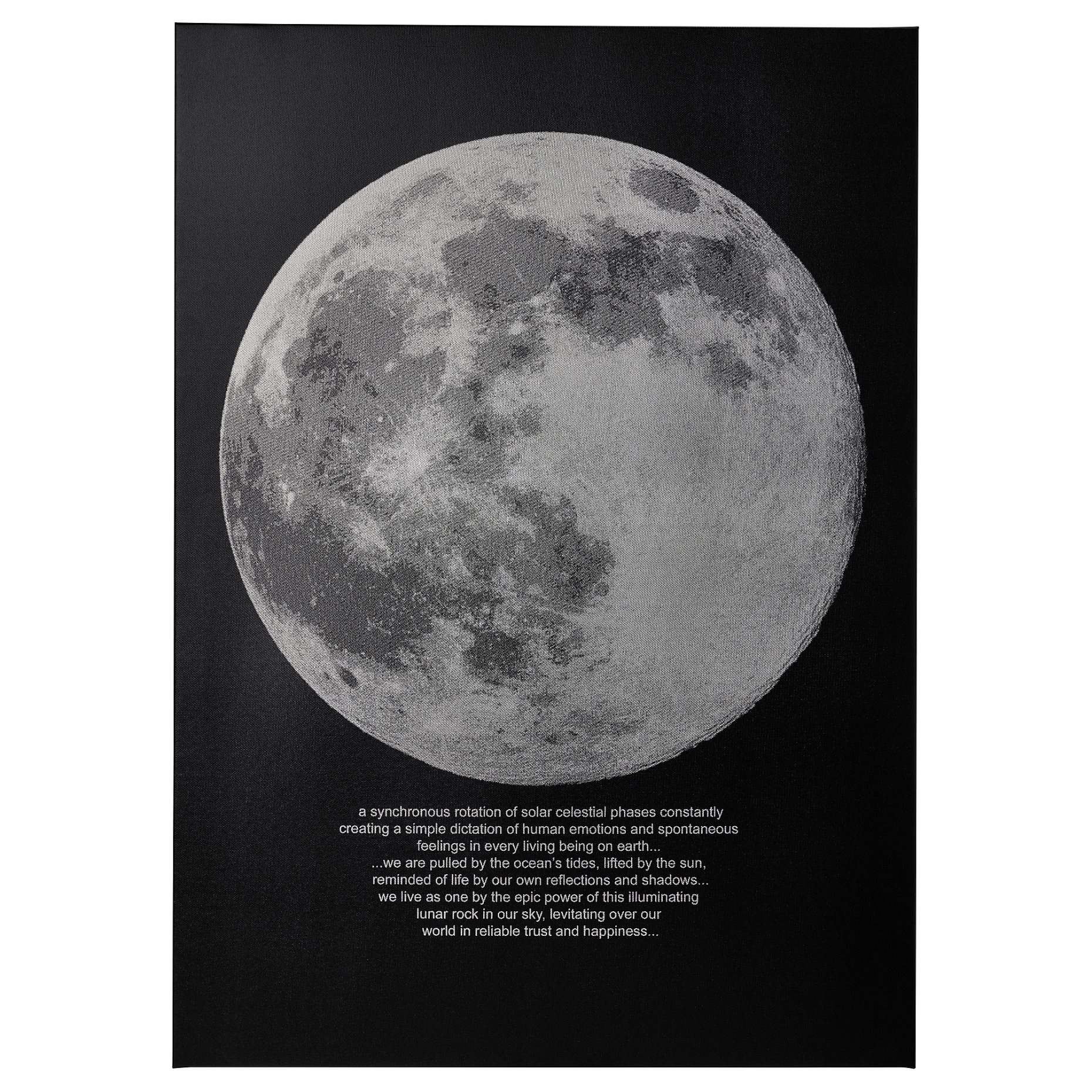 PJÄTTERYD, πίνακας/Φεγγαρόφως, 50x70 cm, 505.545.02