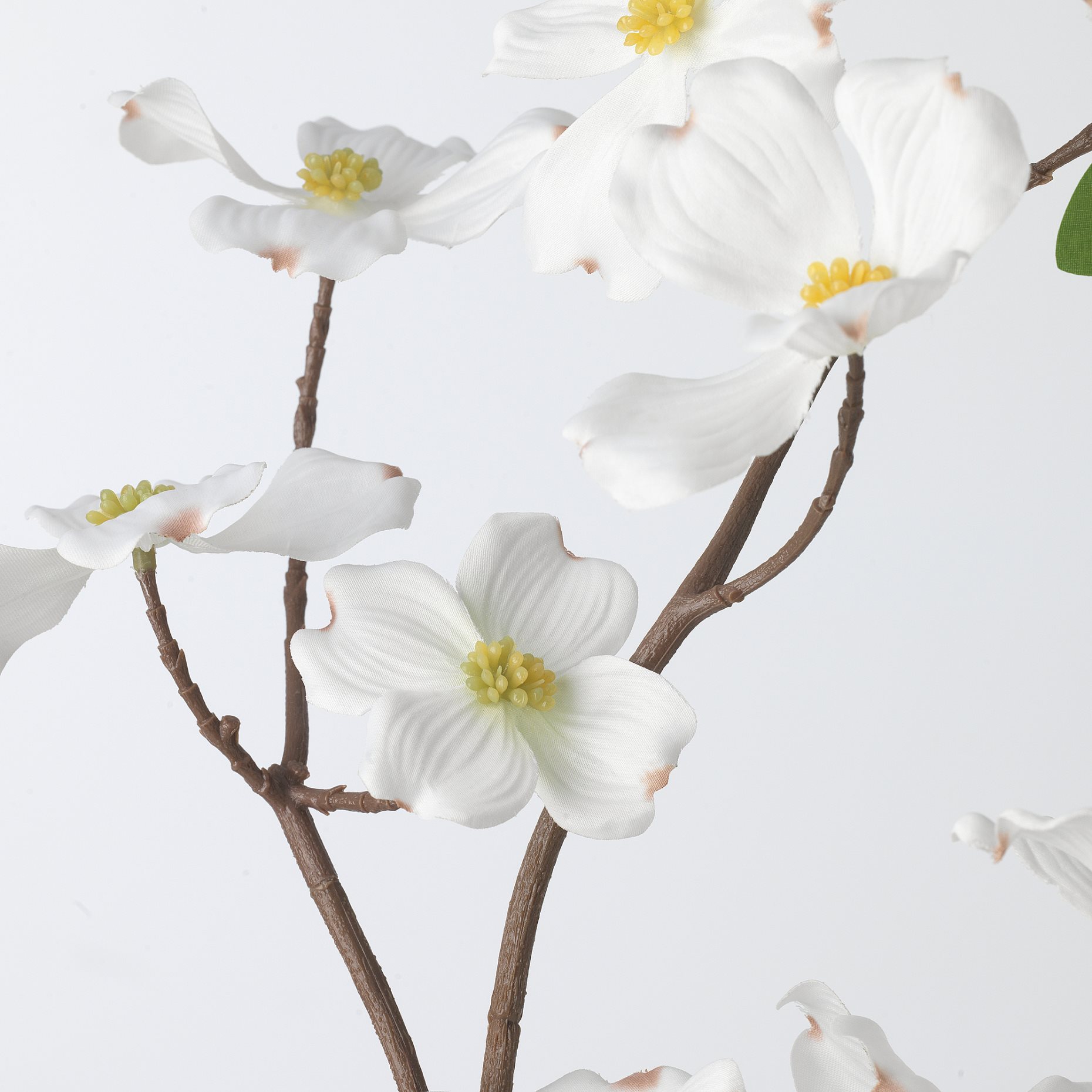 SMYCKA, artificial spray in/outdoor/Dogwood, 100 cm, 505.601.45