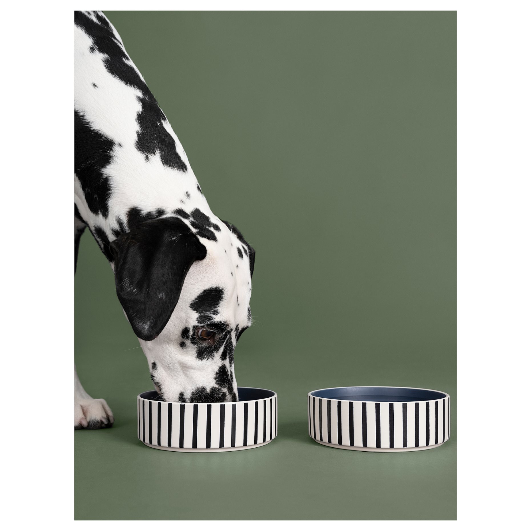 UTSADD, pet bowl, 15 cm, 505.692.02