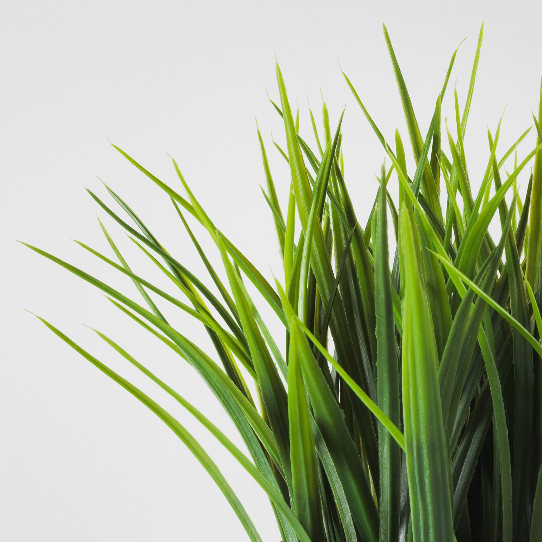 FEJKA, artificial potted plant in/outdoor/grass, 9 cm, 506.210.02