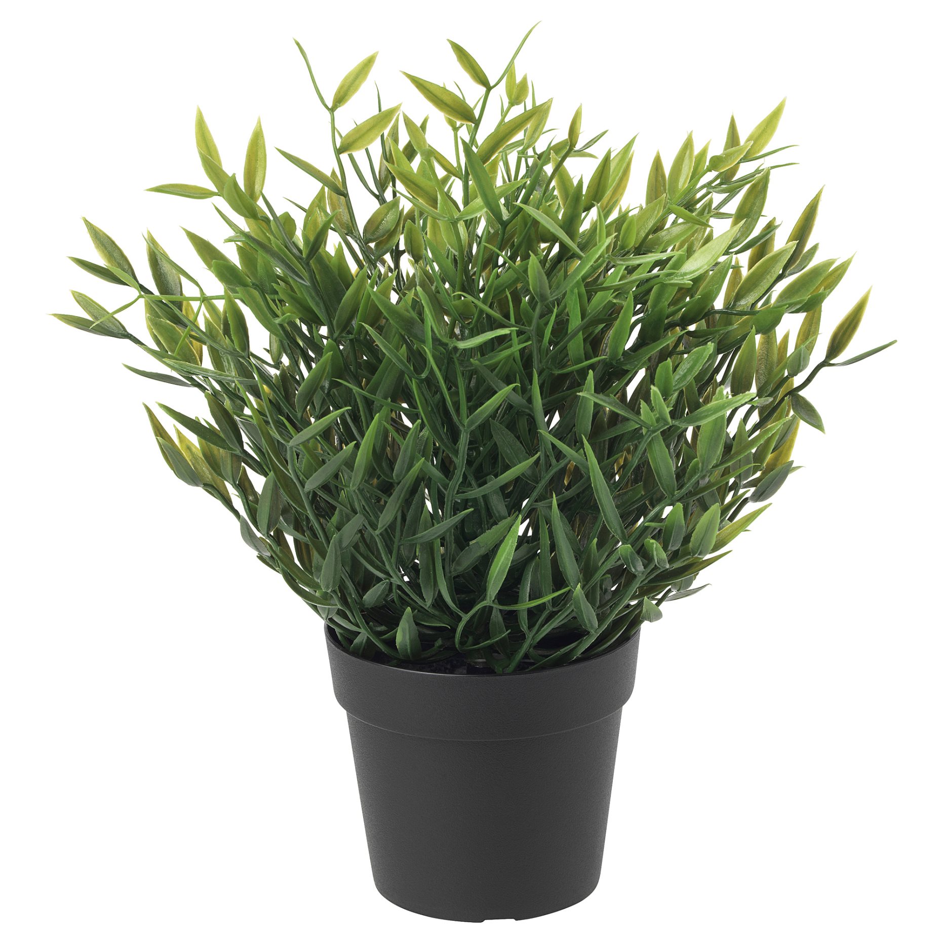 FEJKA, artificial potted plant in/outdoor, House bamboo, 604.339.39