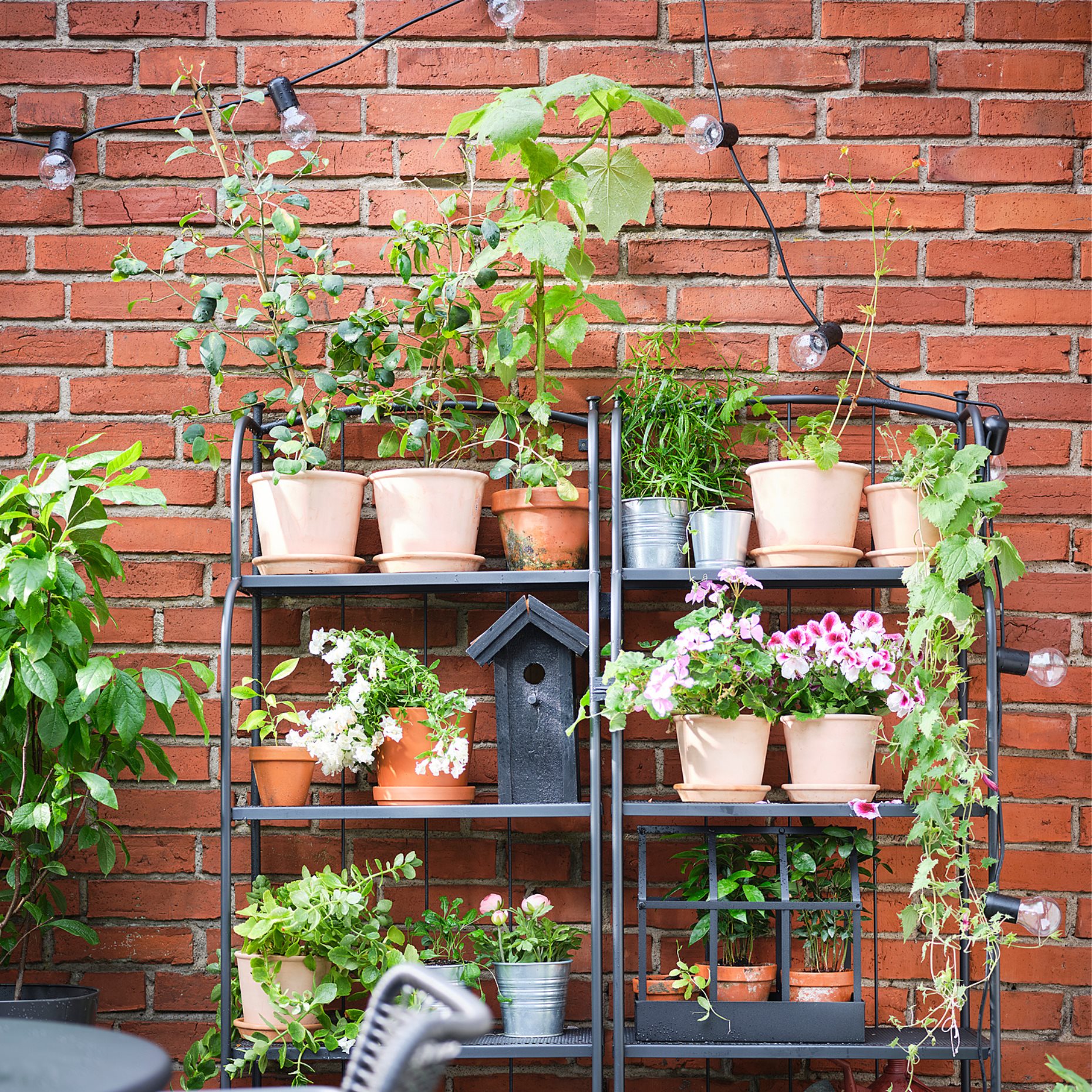 LÄCKÖ, chair with armrests, outdoor, 604.633.04