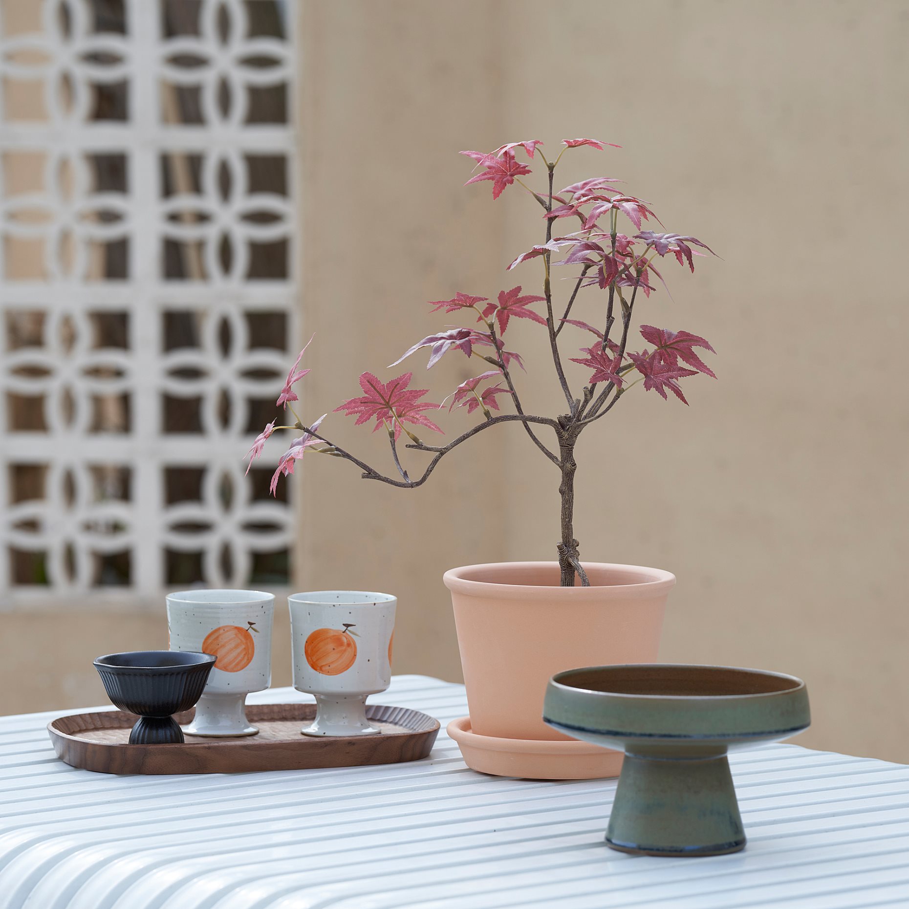 FEJKA, artificial potted plant in/outdoor/maple, 12 cm, 605.599.57