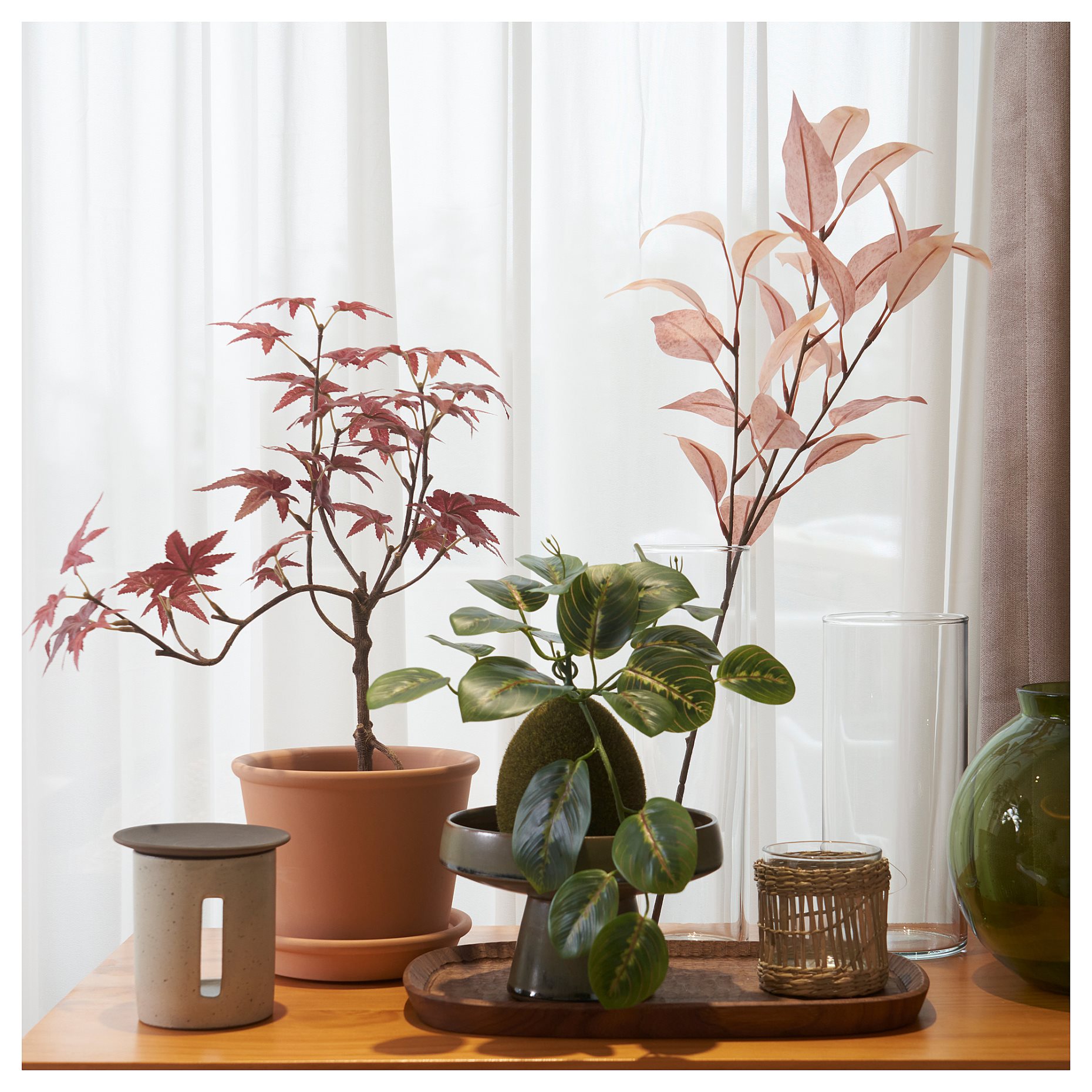 FEJKA, artificial potted plant in/outdoor/maple, 12 cm, 605.599.57
