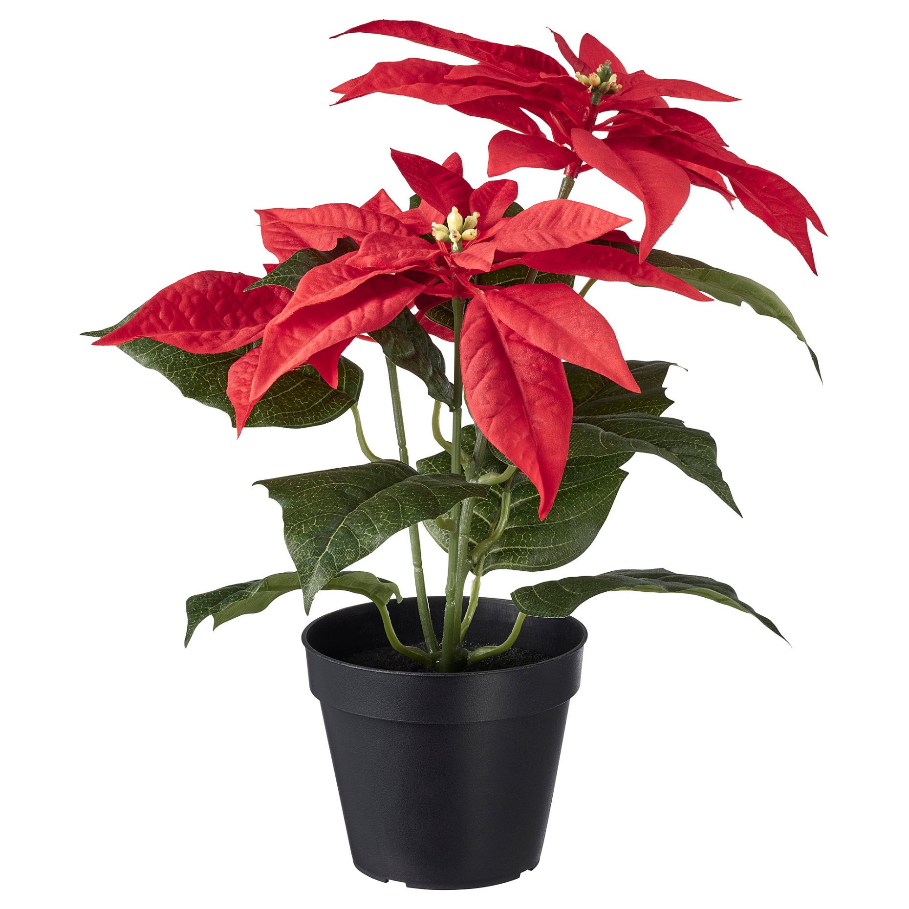 VINTERFINT, artificial potted plant/in/outdoor Poinsettia, 12 cm, 605.621.39