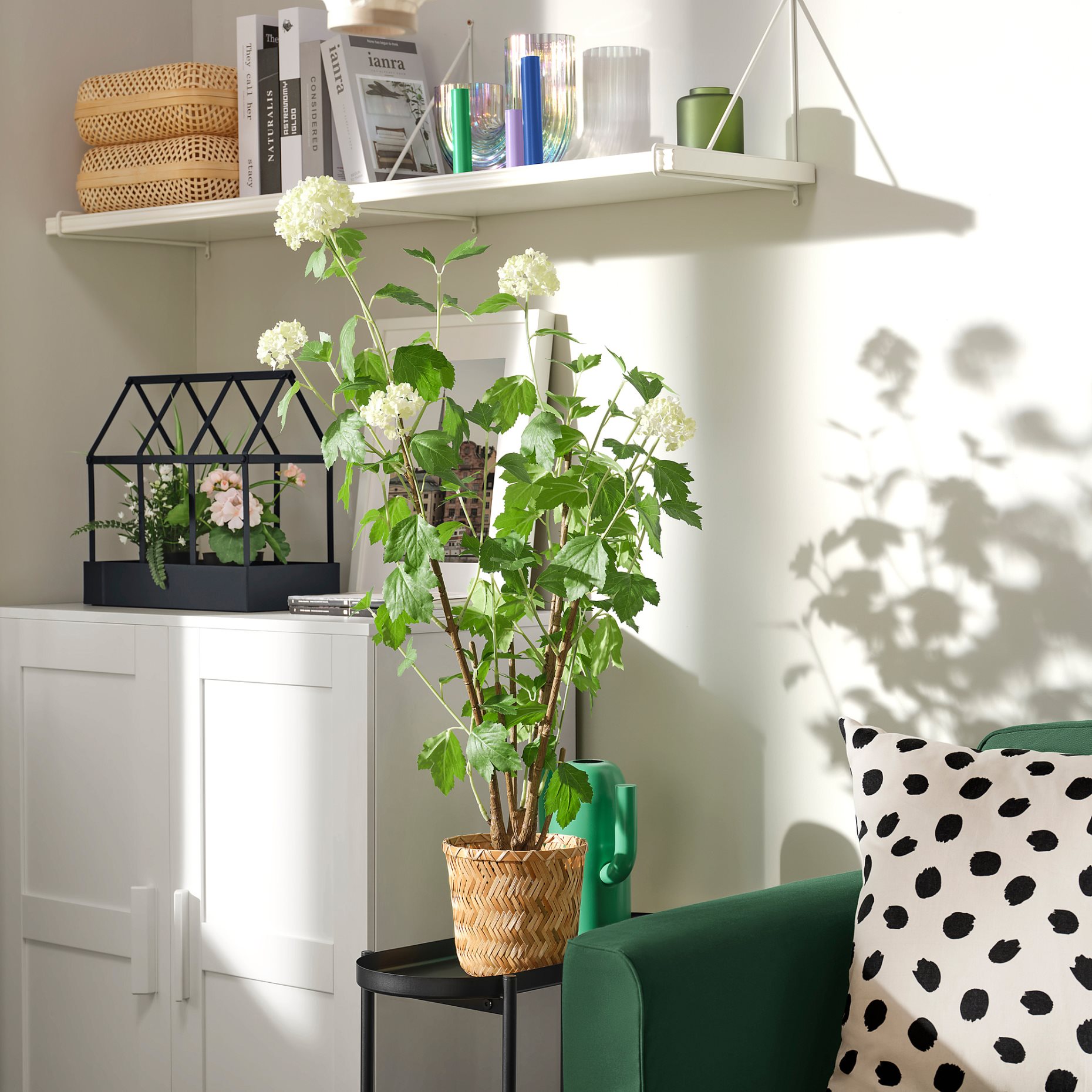 FEJKA, τεχνητό φυτό σε γλάστρα/εσωτερικού/εξωτερικού χώρου/Βιβούρνο χιονόμπαλα, 15 cm, 605.716.95