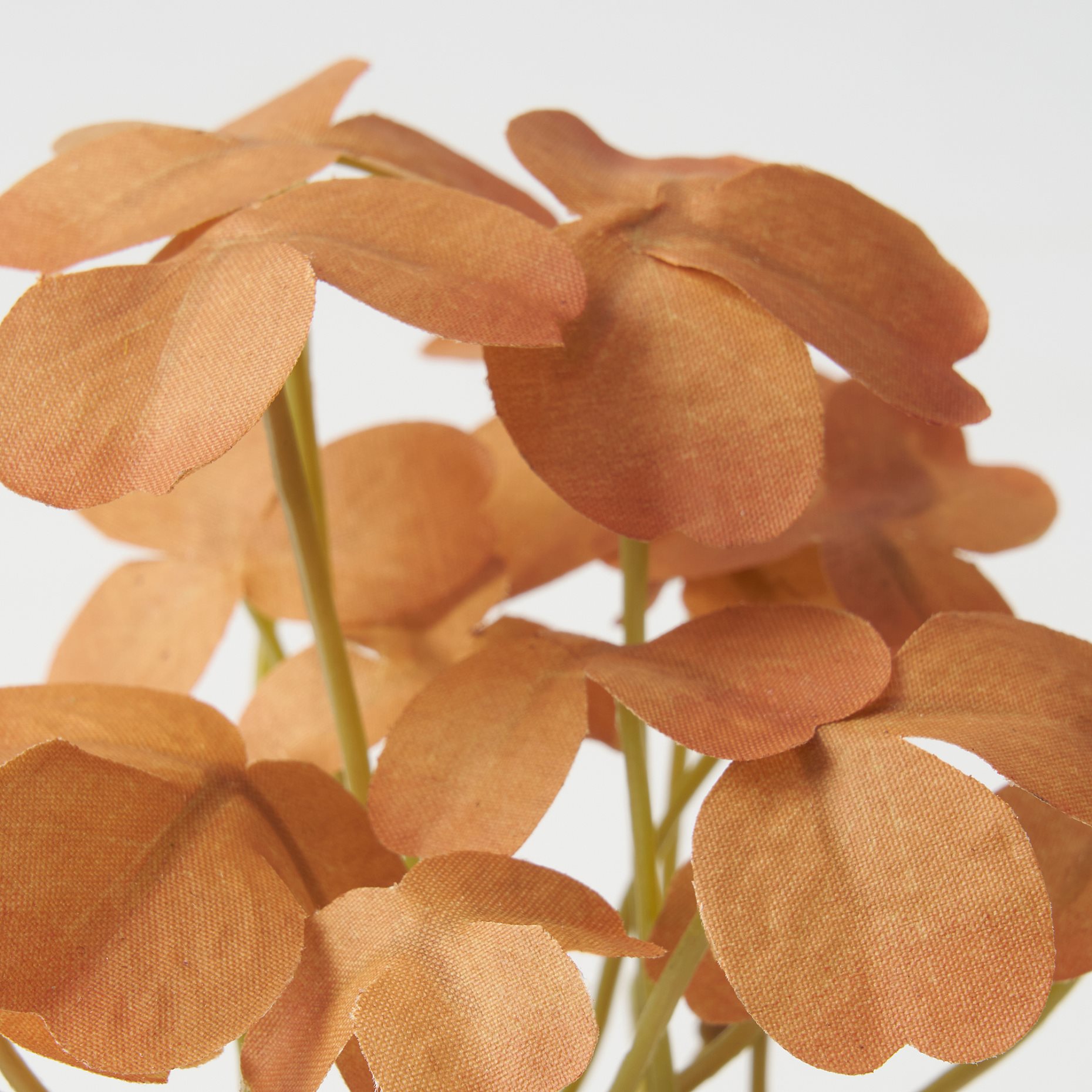 FEJKA, artificial potted plant with pot/in/outdoor/leaves/set of 3, 6 cm, 605.824.77