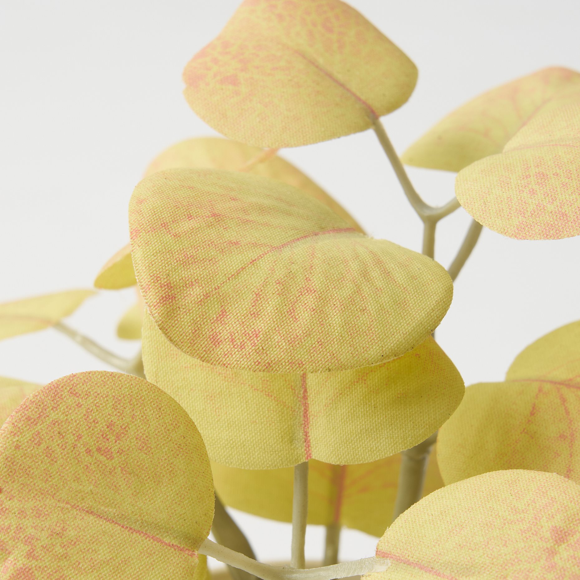 FEJKA, artificial potted plant with pot/in/outdoor/leaves/set of 3, 6 cm, 605.824.77