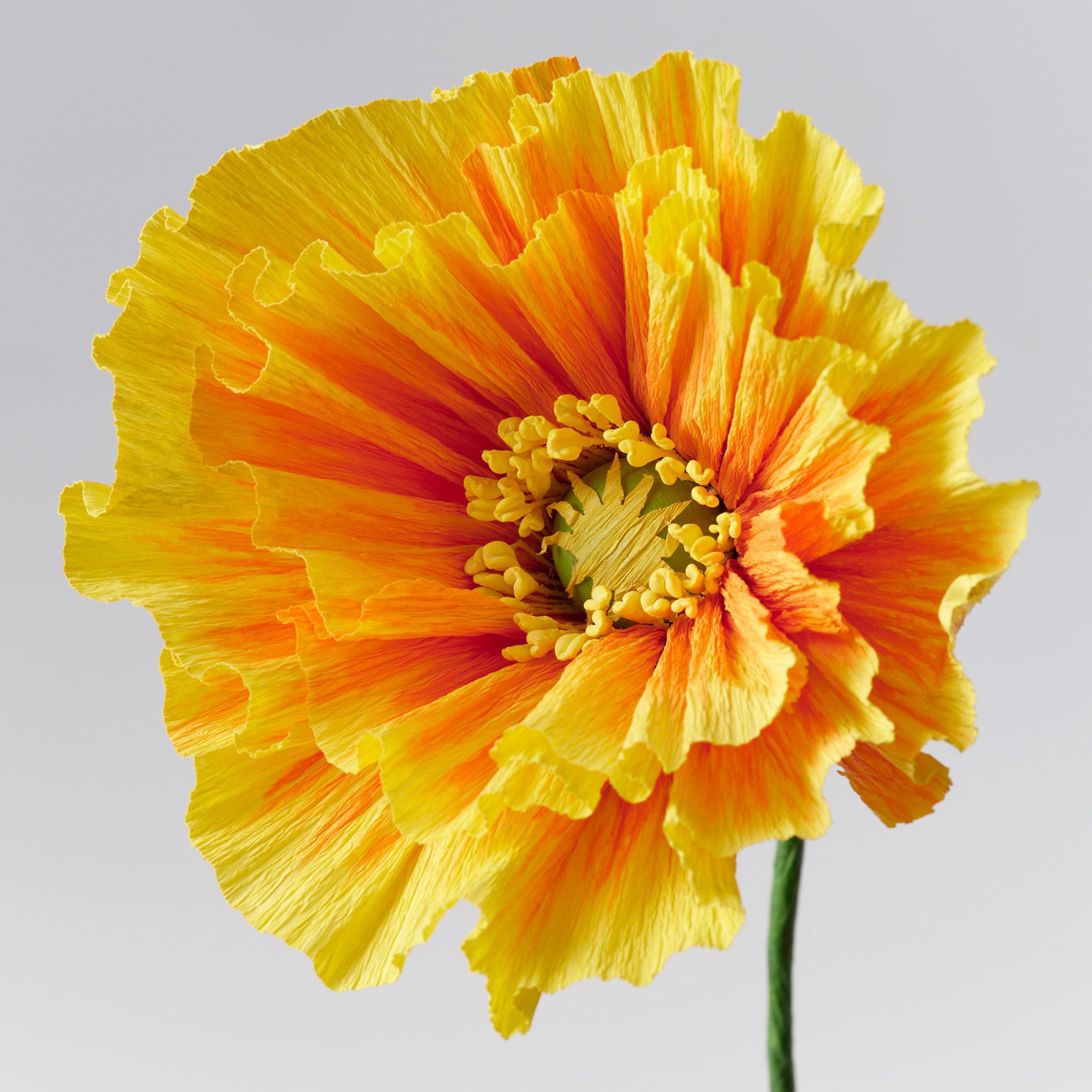 GULDSPETT, artificial flower/Poppy, 40 cm, 606.149.68