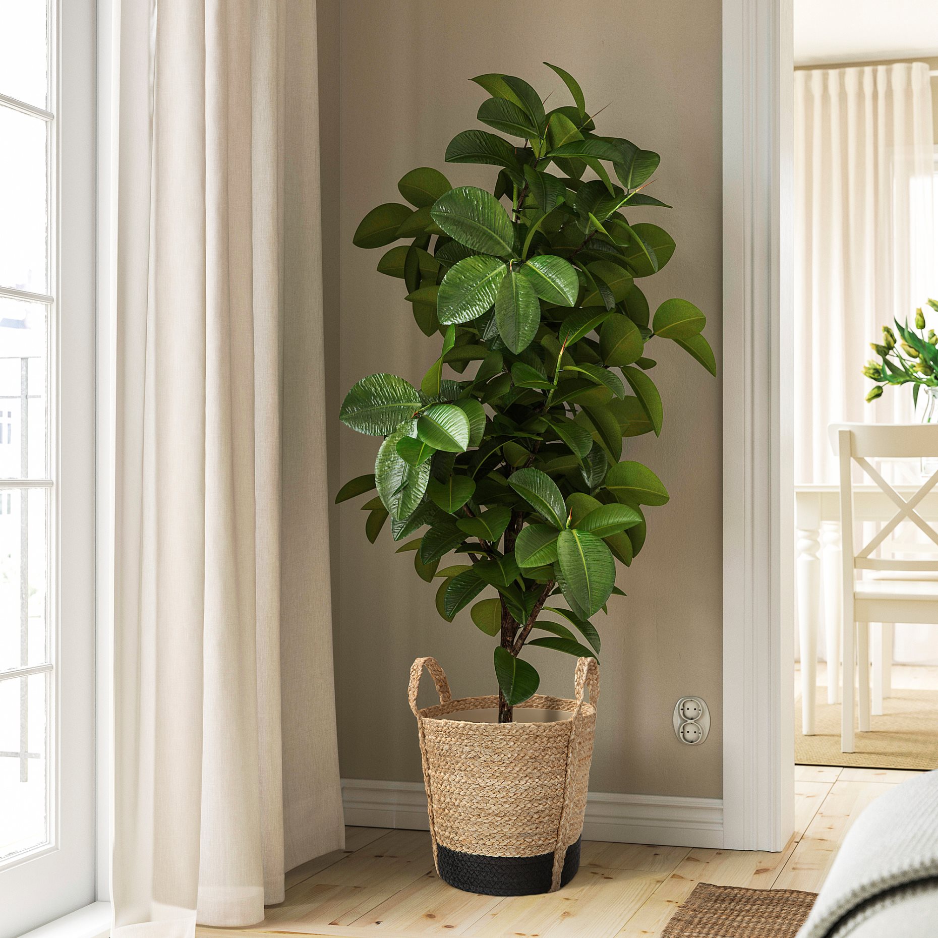 TÄRNMÅS, plant pot indoor, 24 cm, 606.271.88