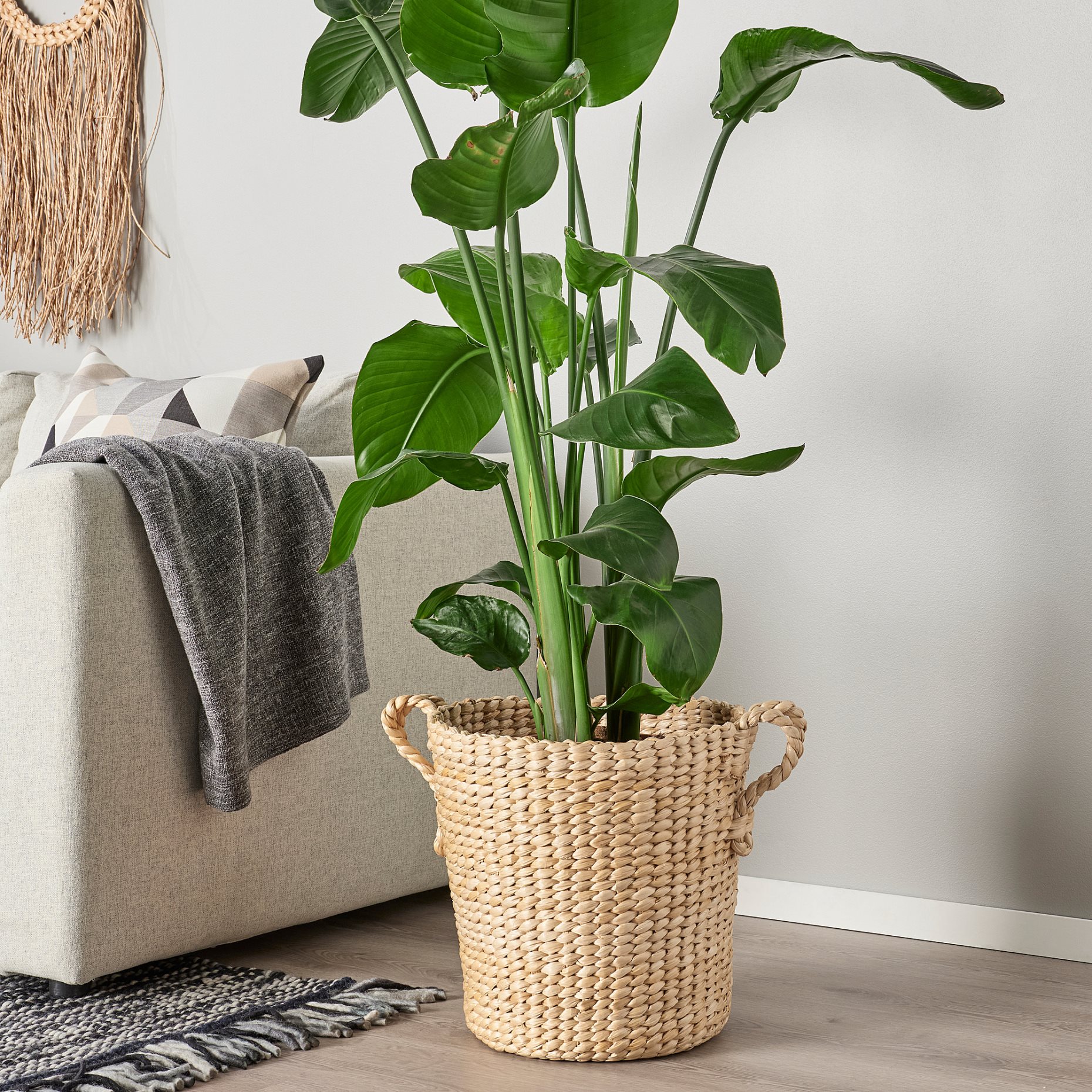 TÖRNBÄR, plant pot/handmade, 32 cm, 705.247.07