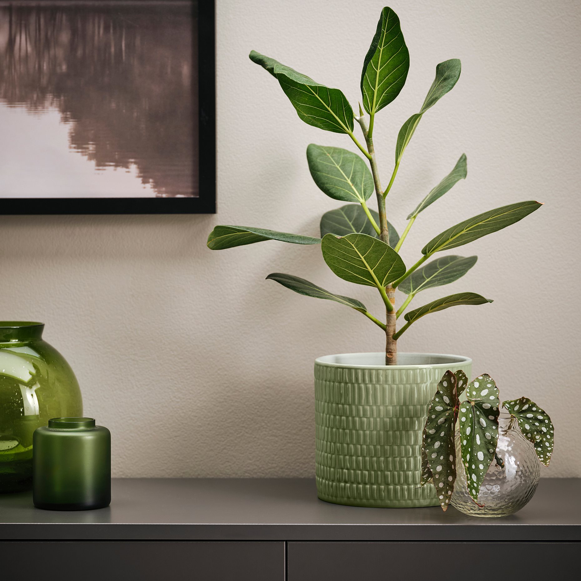 CHIAFRÖN, plant pot in/outdoor, 705.704.88