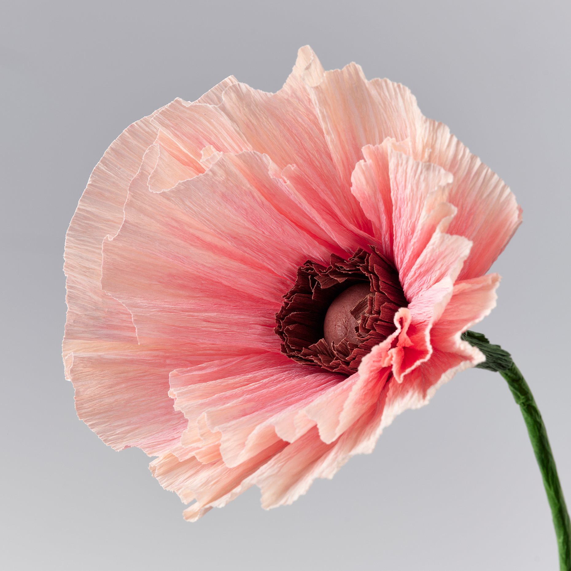 GULDSPETT, artificial flower/Poppy, 40 cm, 706.149.63