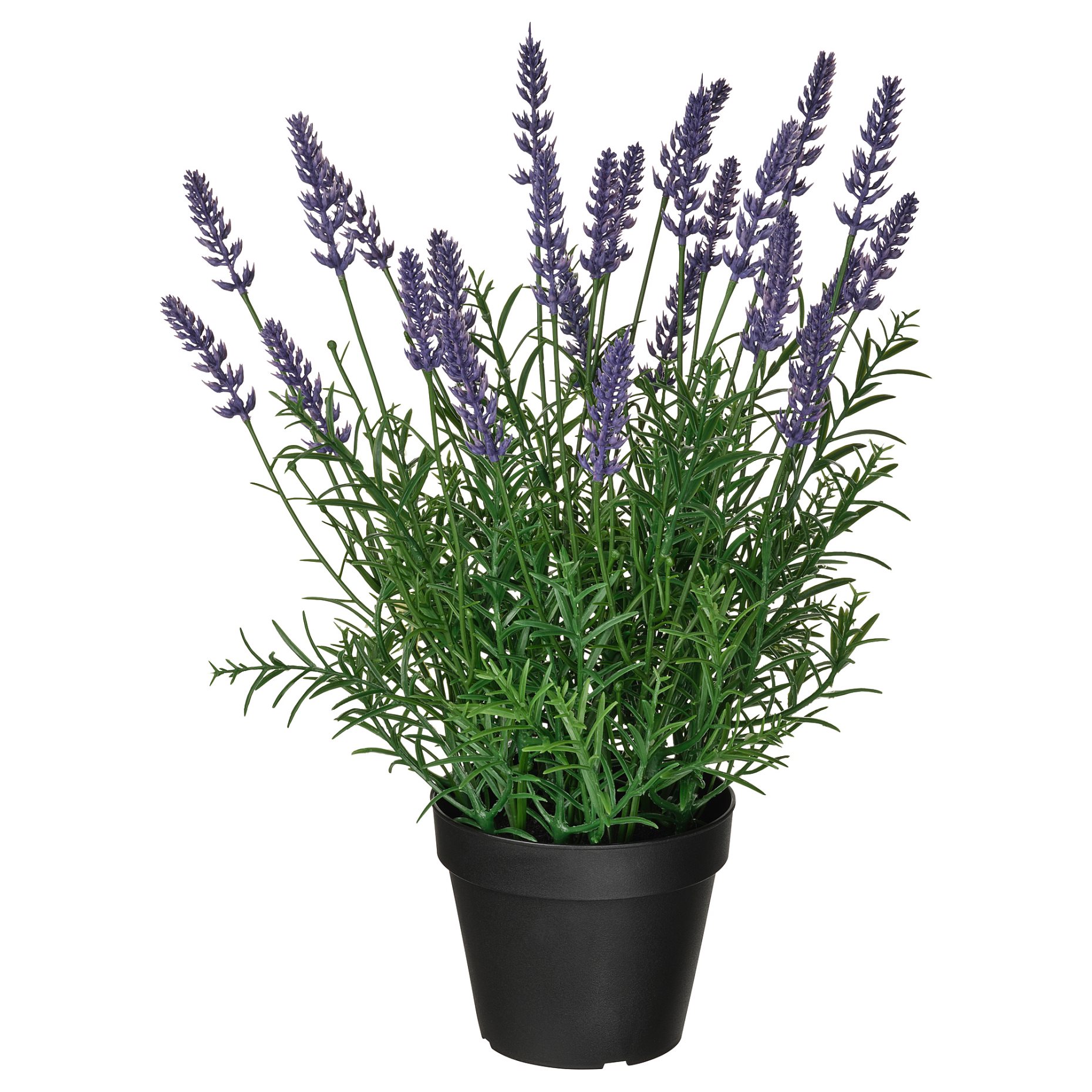FEJKA, artificial potted plant in/outdoor/Lavender, 12 cm, 706.176.93