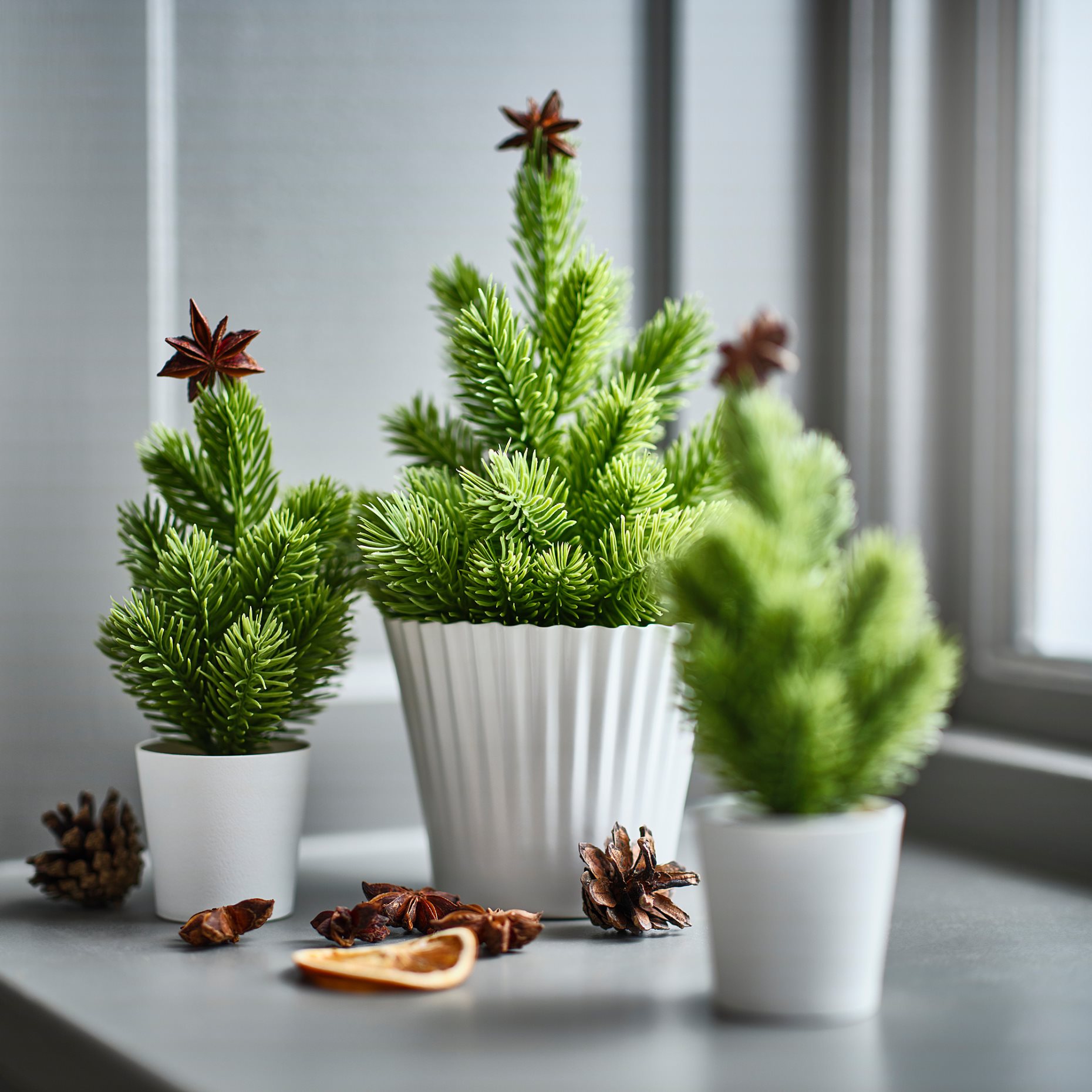 VINTERFINT, artificial potted plant in/outdoor/Christmas tree, 6 cm, 706.363.90