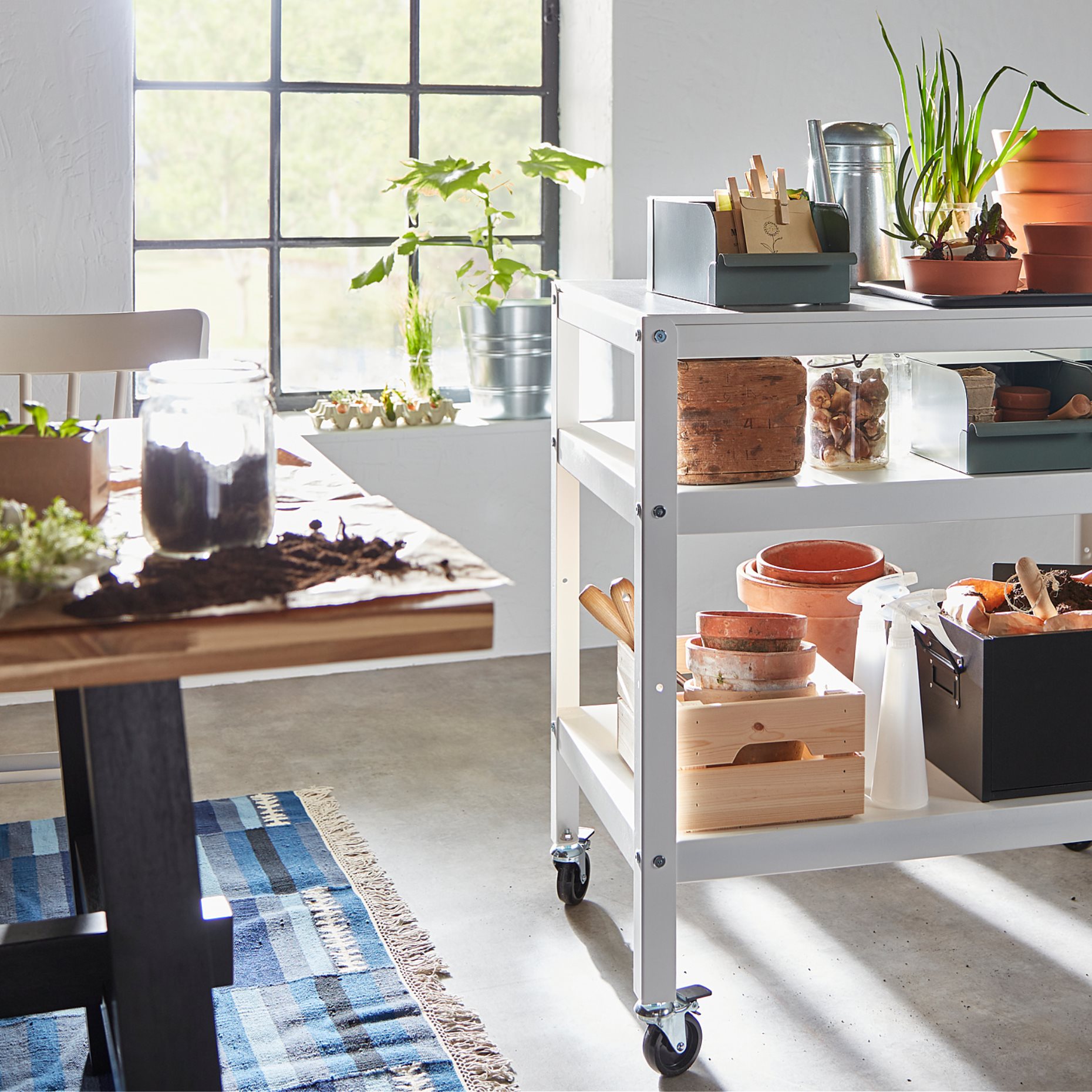 REJSA, κουτί, 804.577.88