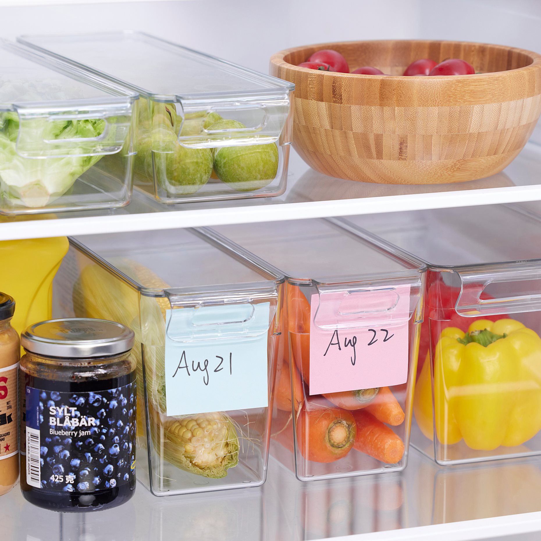 KLIPPKAKTUS, storage box for fridge, 32x10x15 cm, 805.688.85