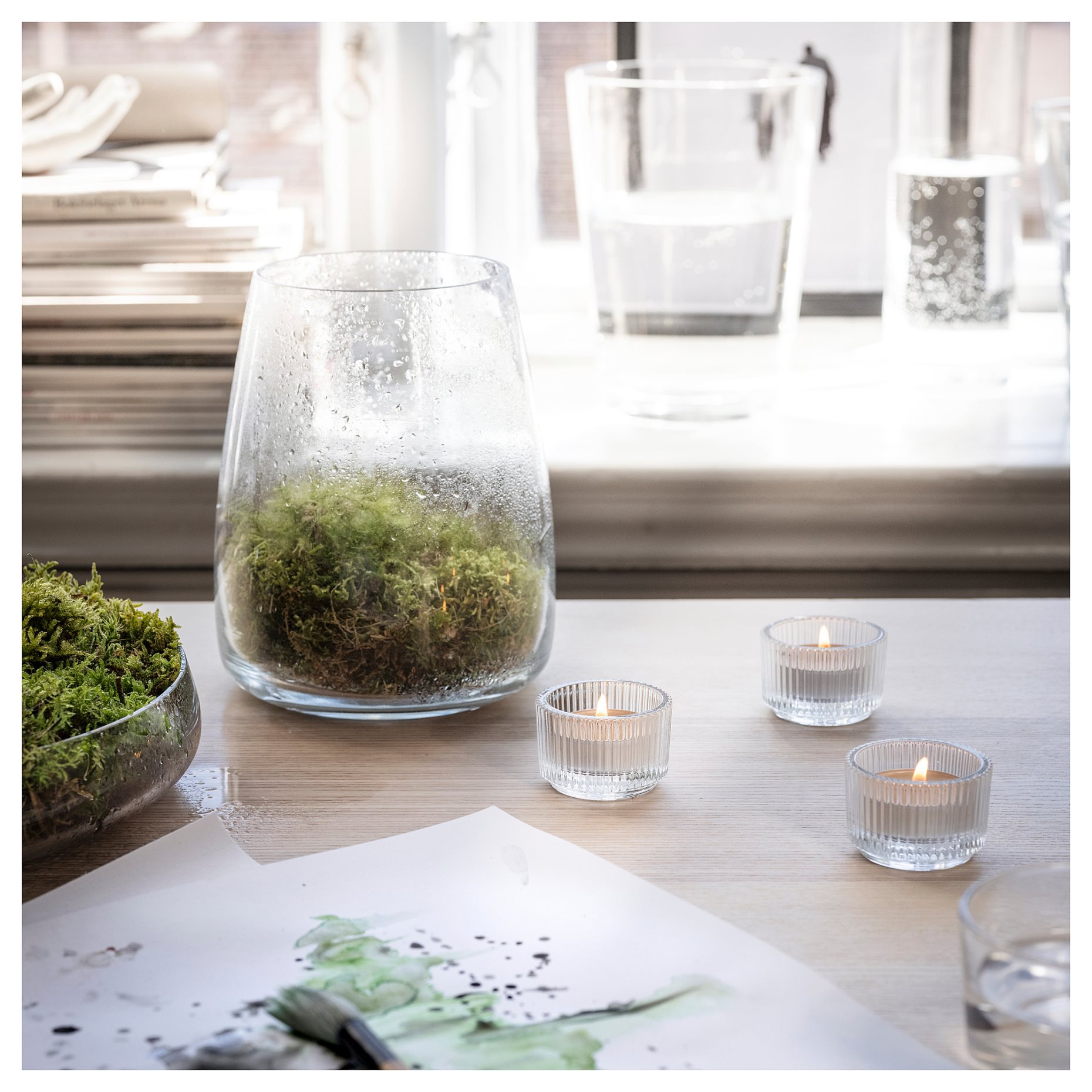 SILKESTRÄD, scented tealight/dew & moss/30 pack, 3.5 hr, 805.705.53