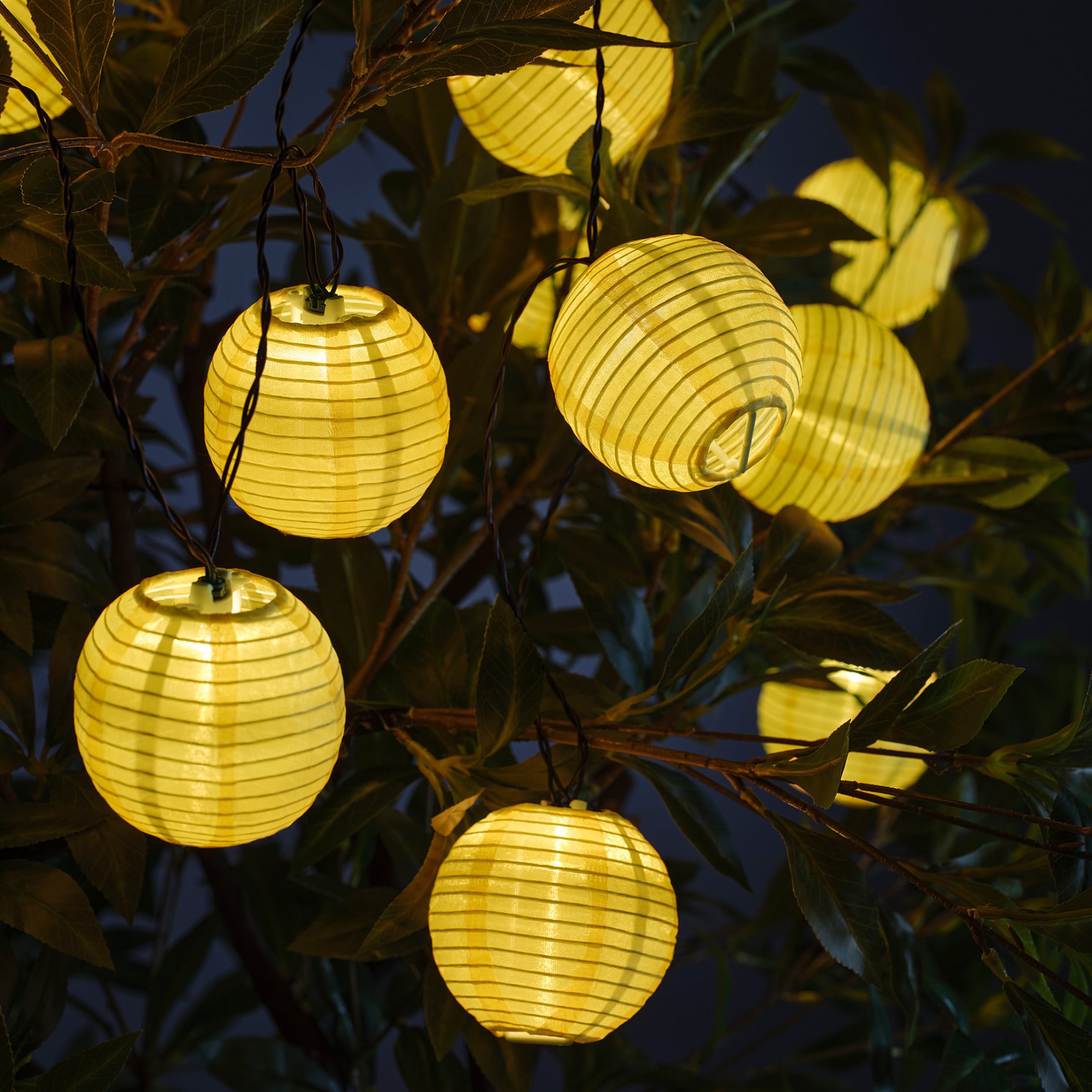 SOLVINDEN, lighting chain with built-in LED light source/12 lights/outdoor/battery-operated, 805.705.86