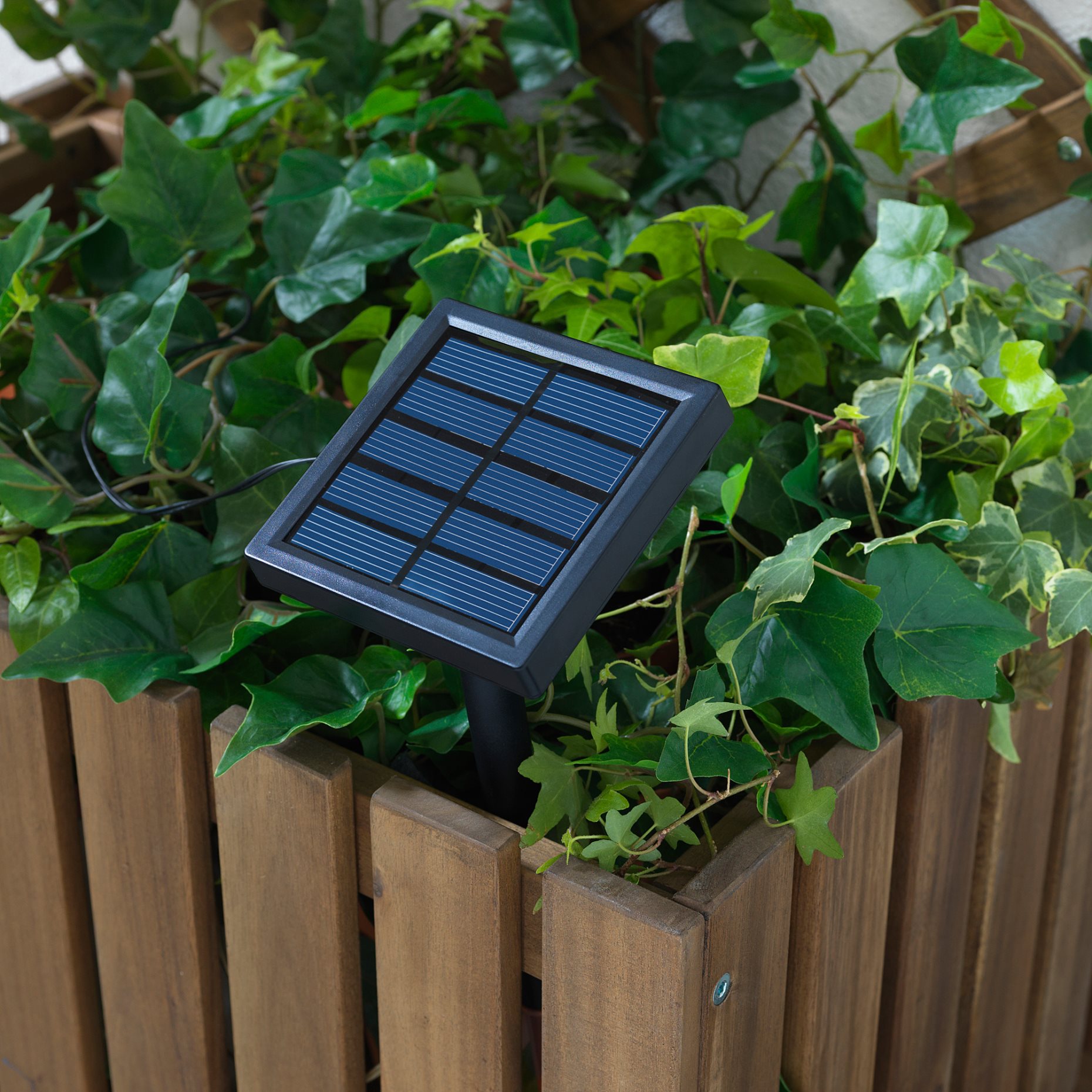 SOLARVET, lighting chain with built-in LED light source/24 lights/outdoor solar-powered/ball, 805.738.96