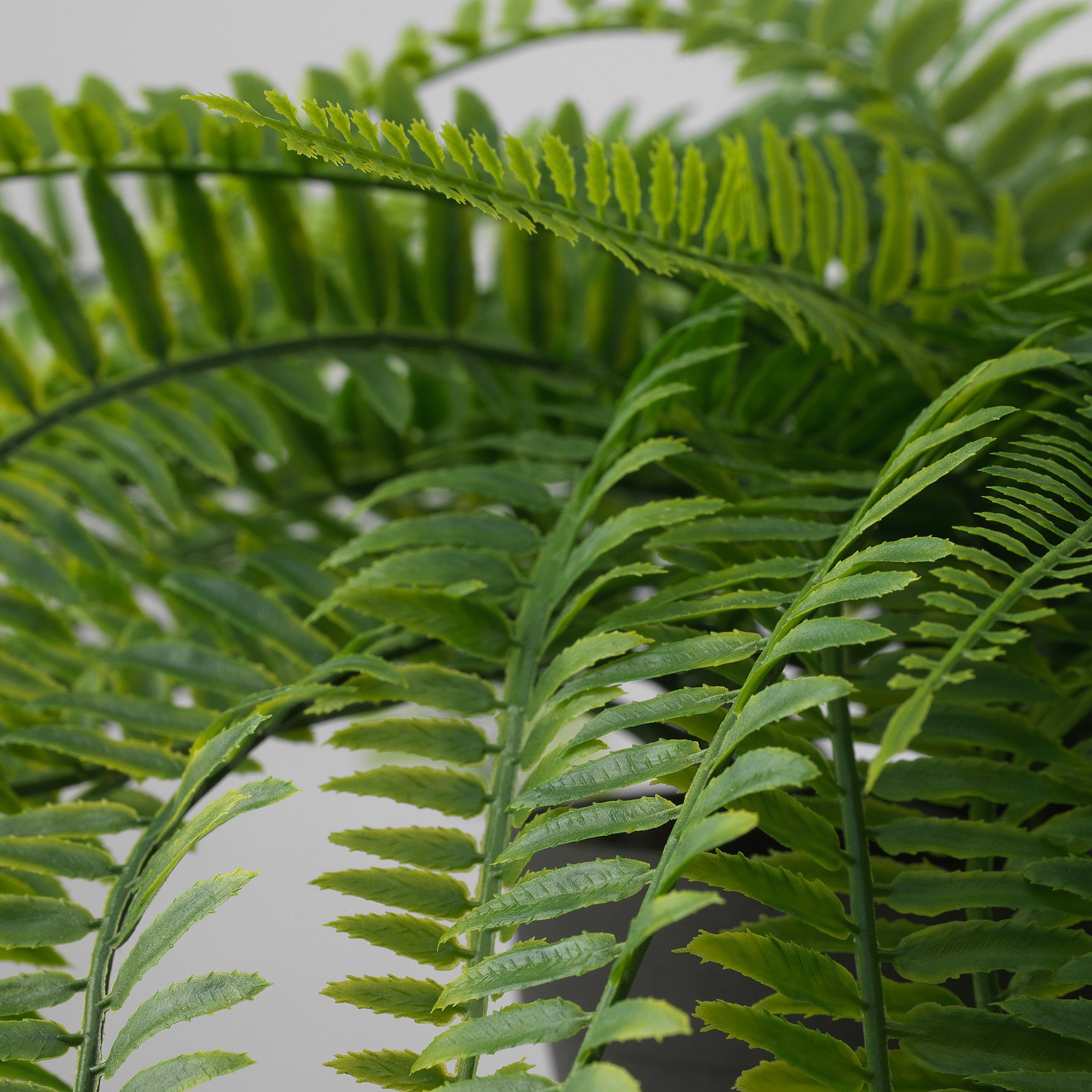 FEJKA, artificial potted plant in/outdoor hanging/fern, 12 cm, 806.152.31