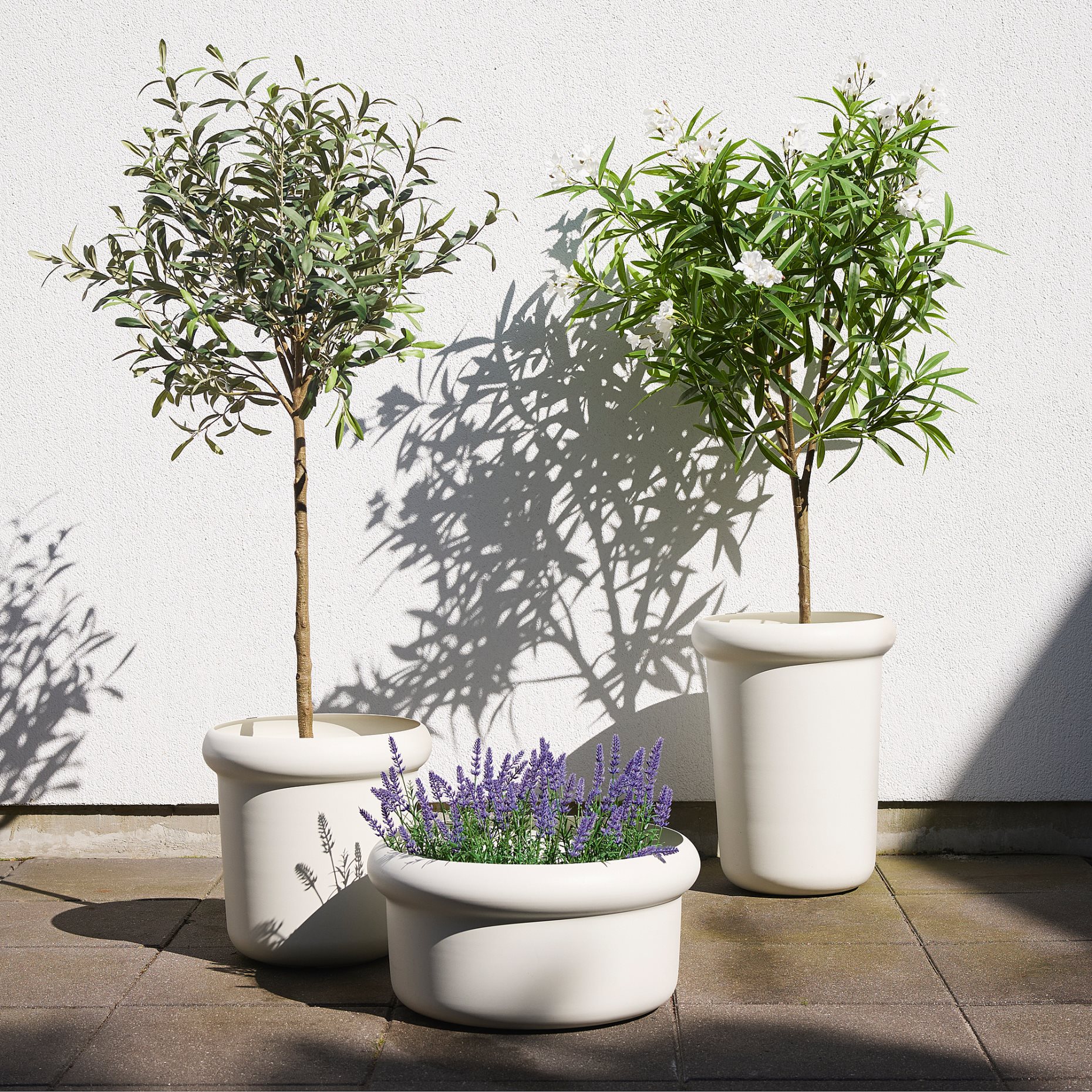 FEJKA, artificial potted plant in/outdoor/Nerium, 19 cm, 806.177.01