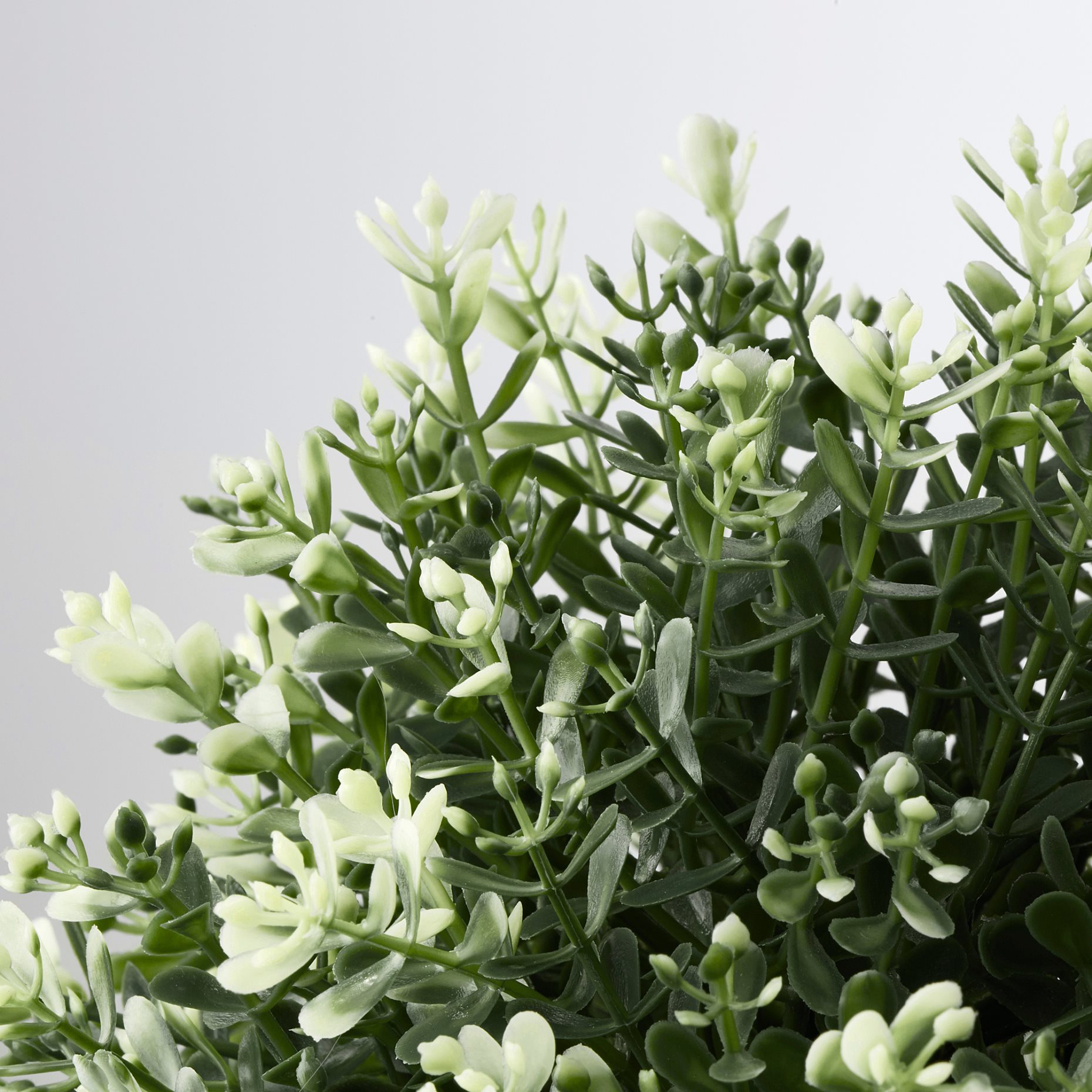 FEJKA, artificial potted plant, 903.751.55