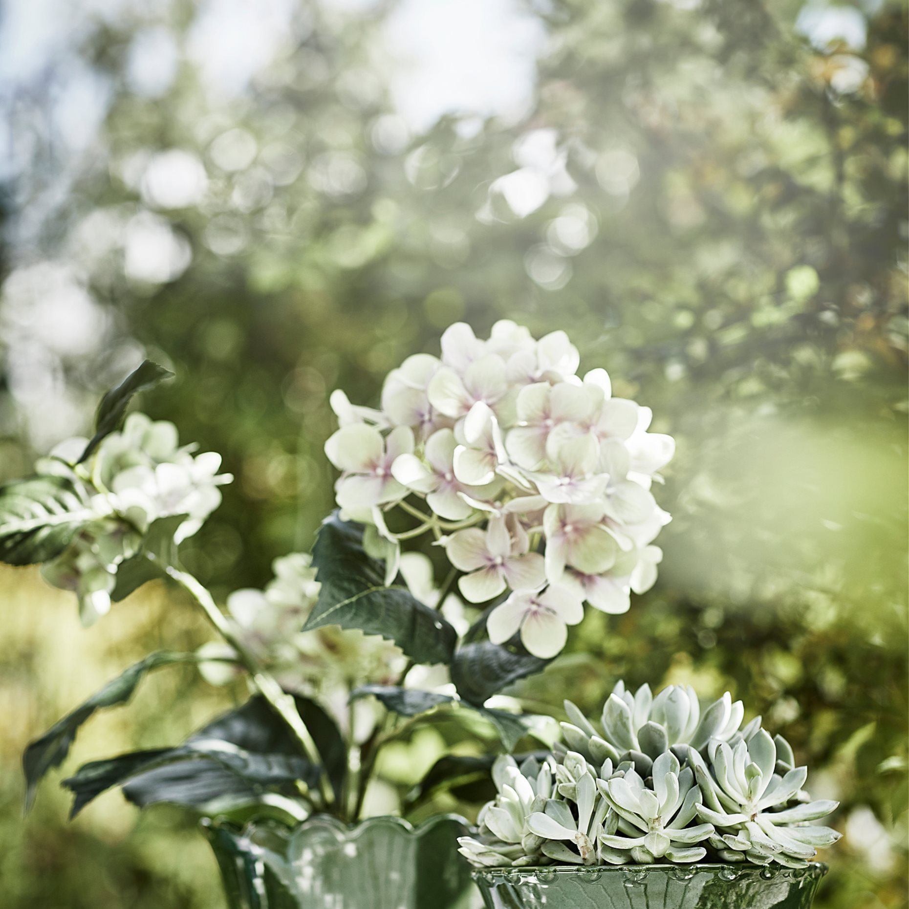 FEJKA, artificial potted plant in/outdoor/Hydrangea, 12 cm, 905.054.06