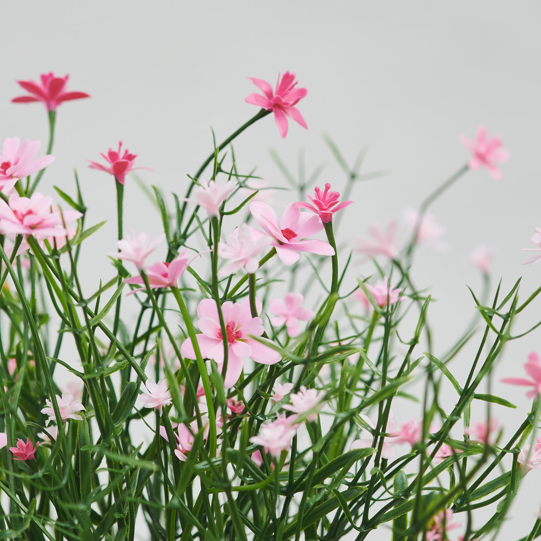 FEJKA, artificial potted plant in/outdoor/Baby’s breath, 9 cm, 906.198.46