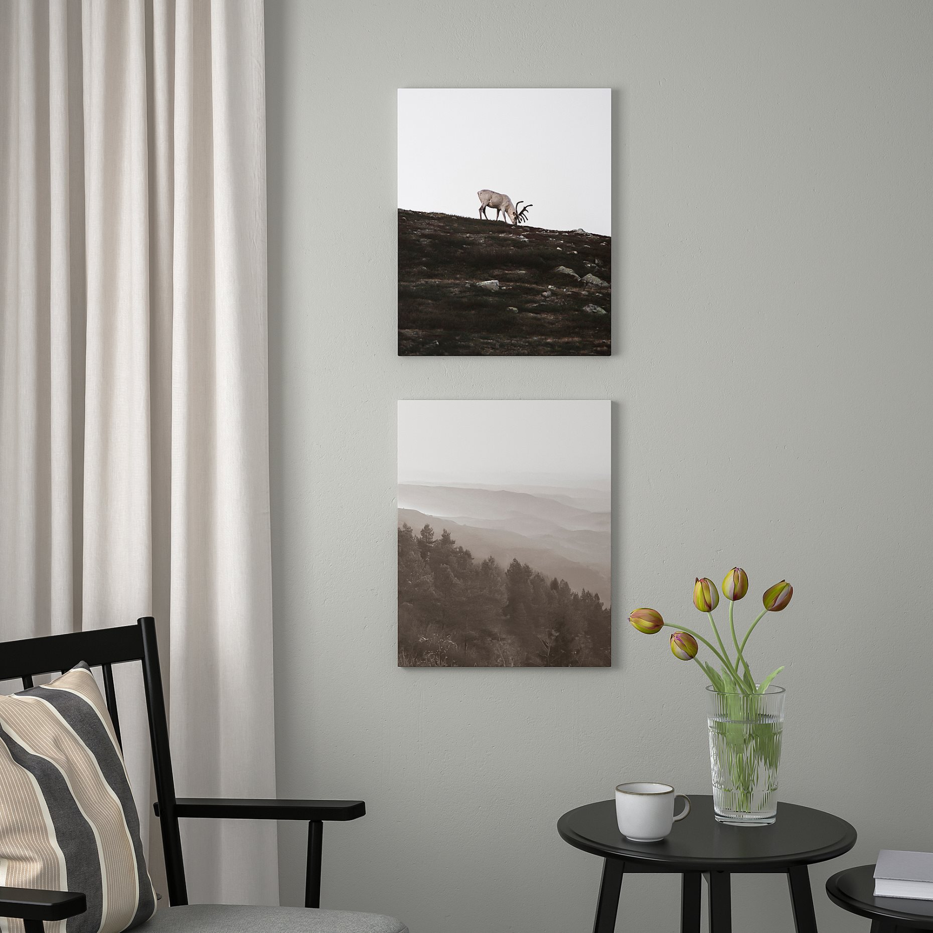 PJÄTTERYD, πίνακας/τάρανδος, 2 τεμ. 40x50 cm, 005.835.59