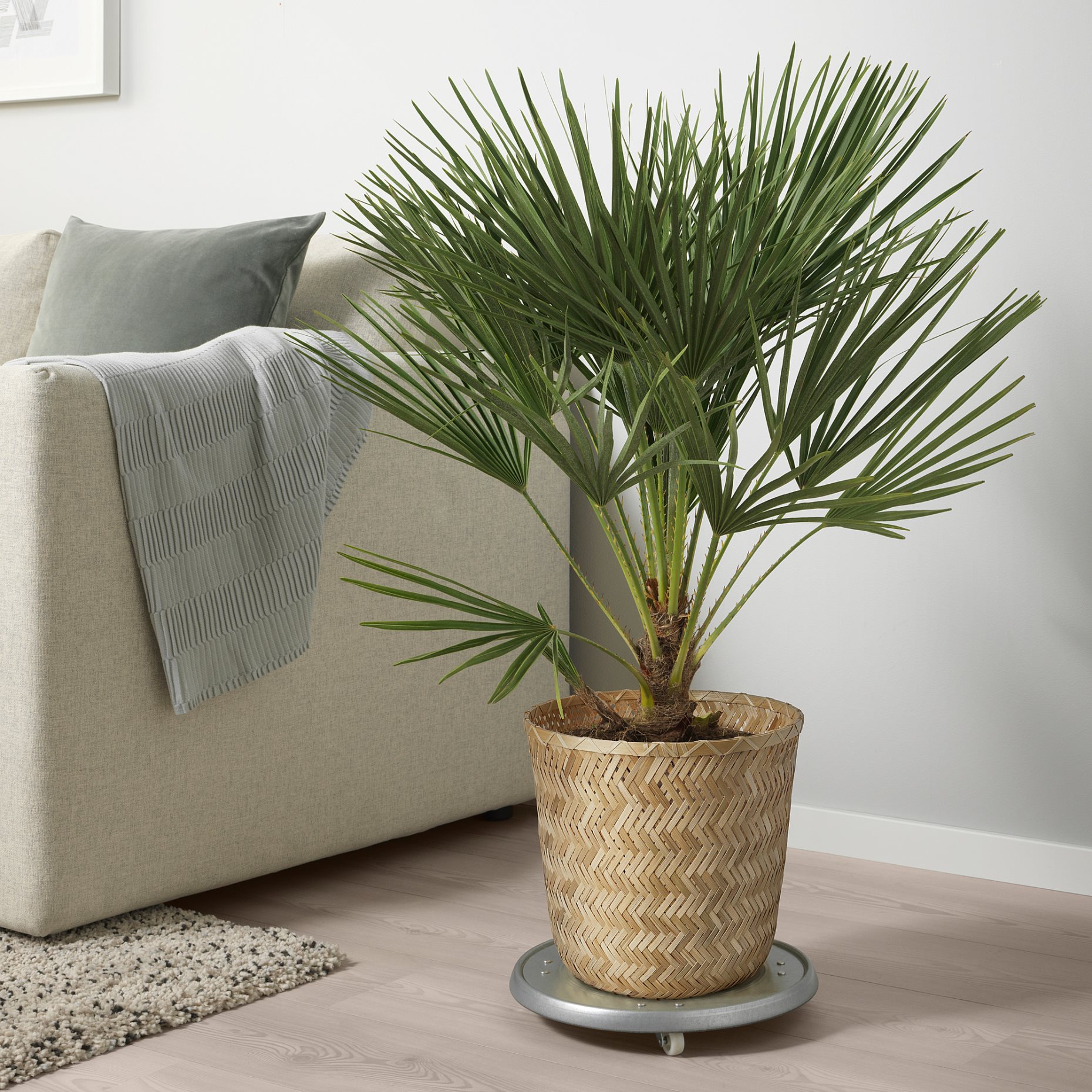 KLYNNON, plant pot/handmade, 24 cm, 205.164.08