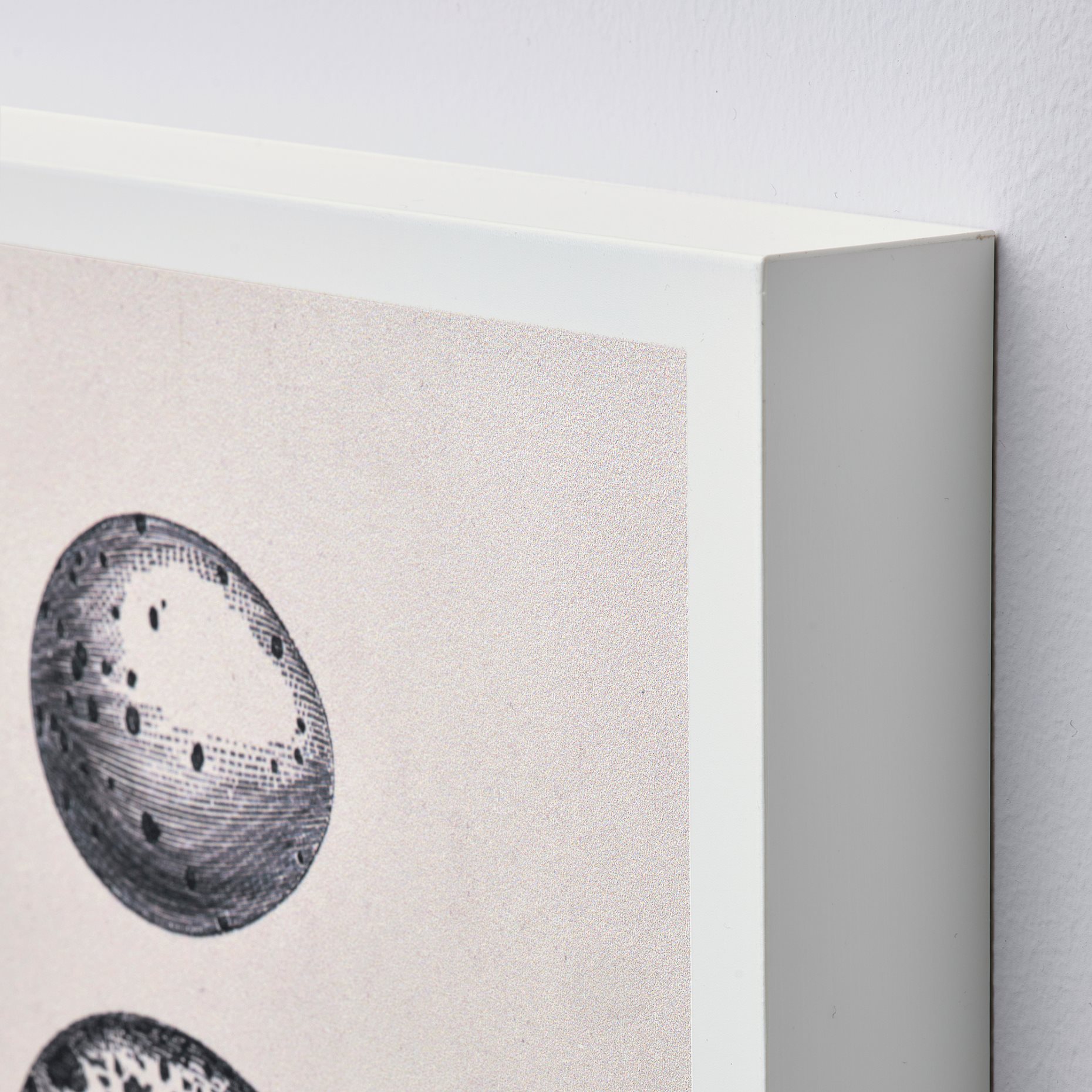BJÖRNAMO, art print on hollow wood/Eggs, 20x30 cm, 305.332.14
